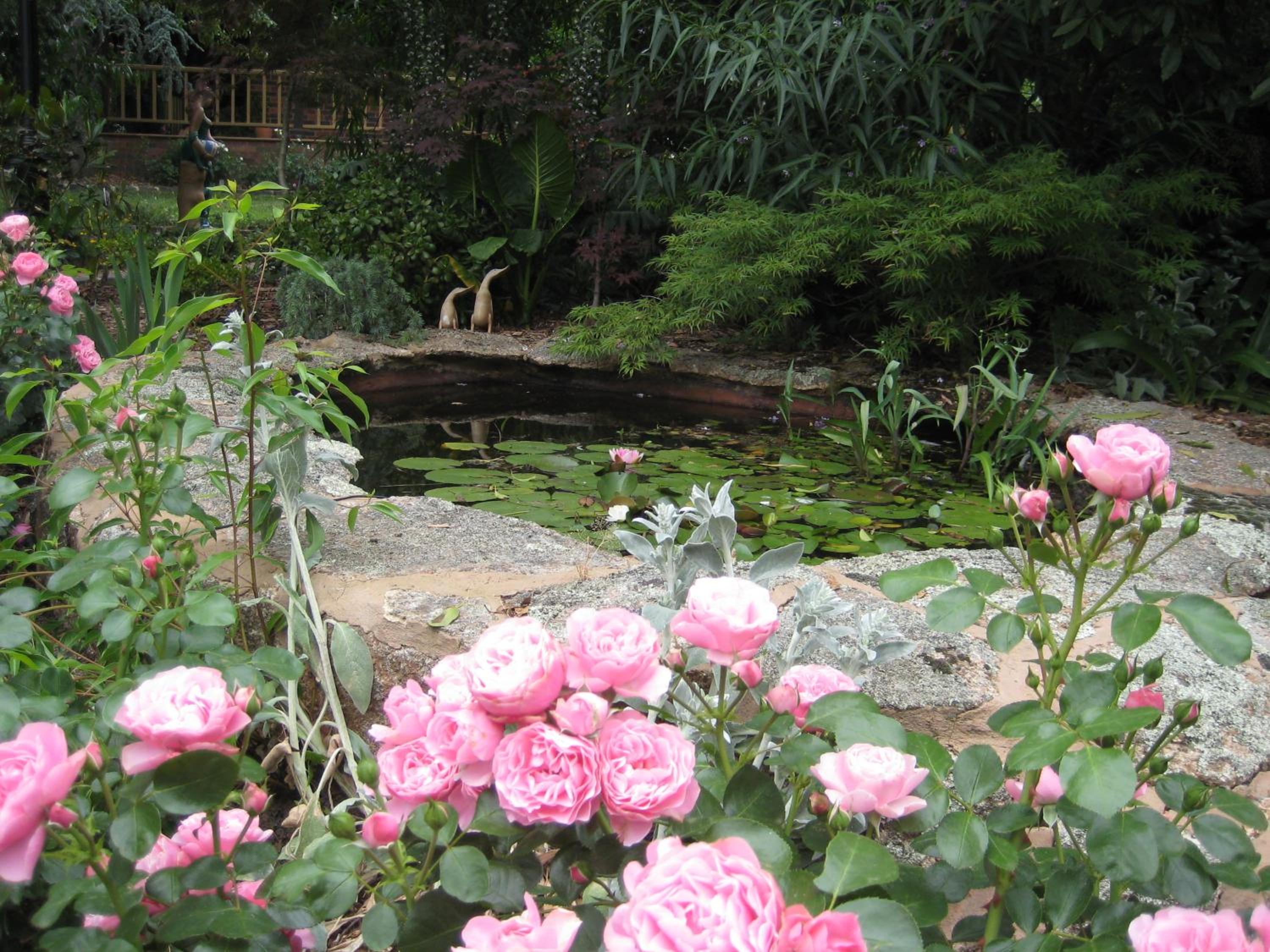 Photo 48