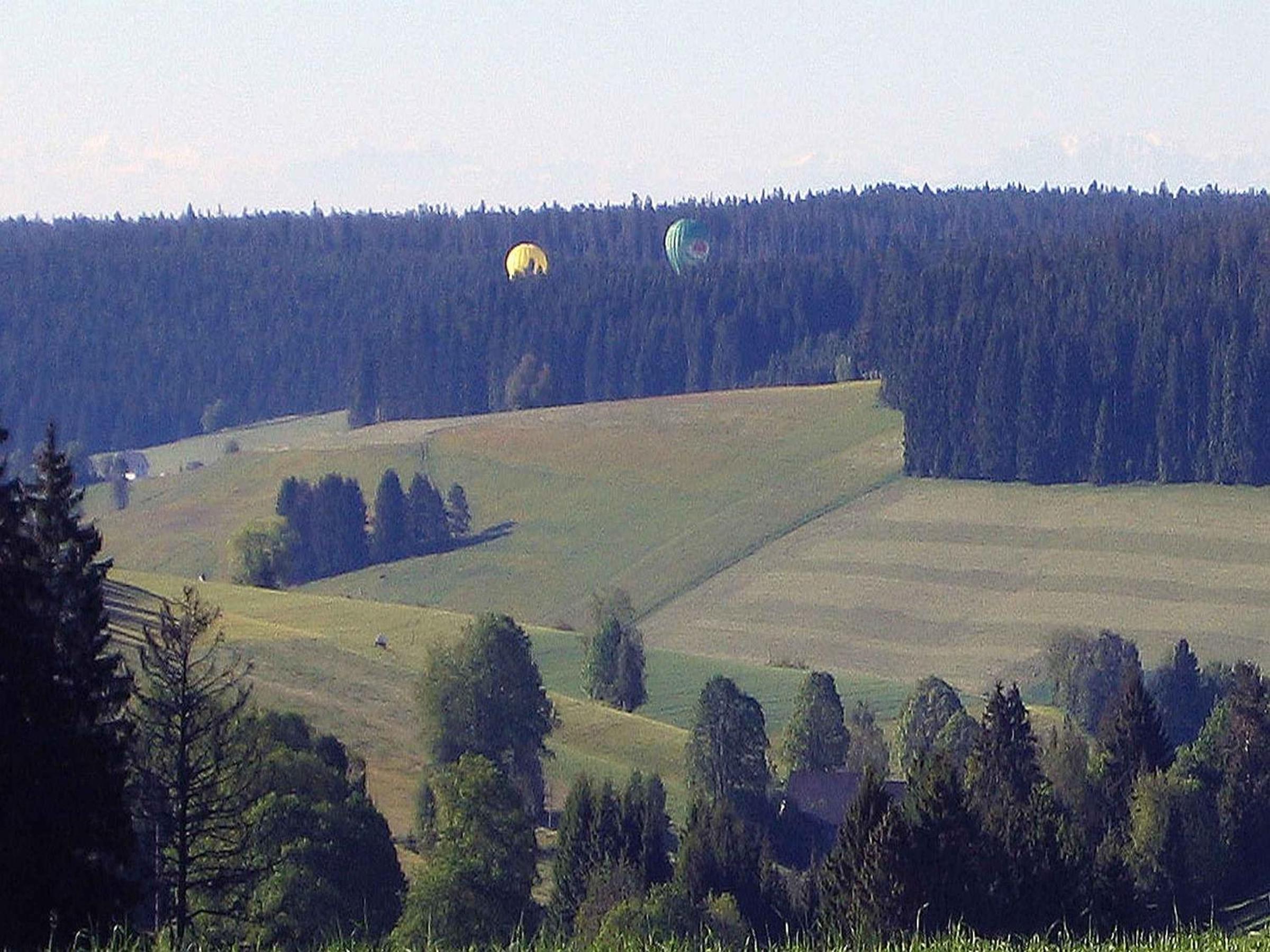 Ferienwohnung Schartenschmiede view 4