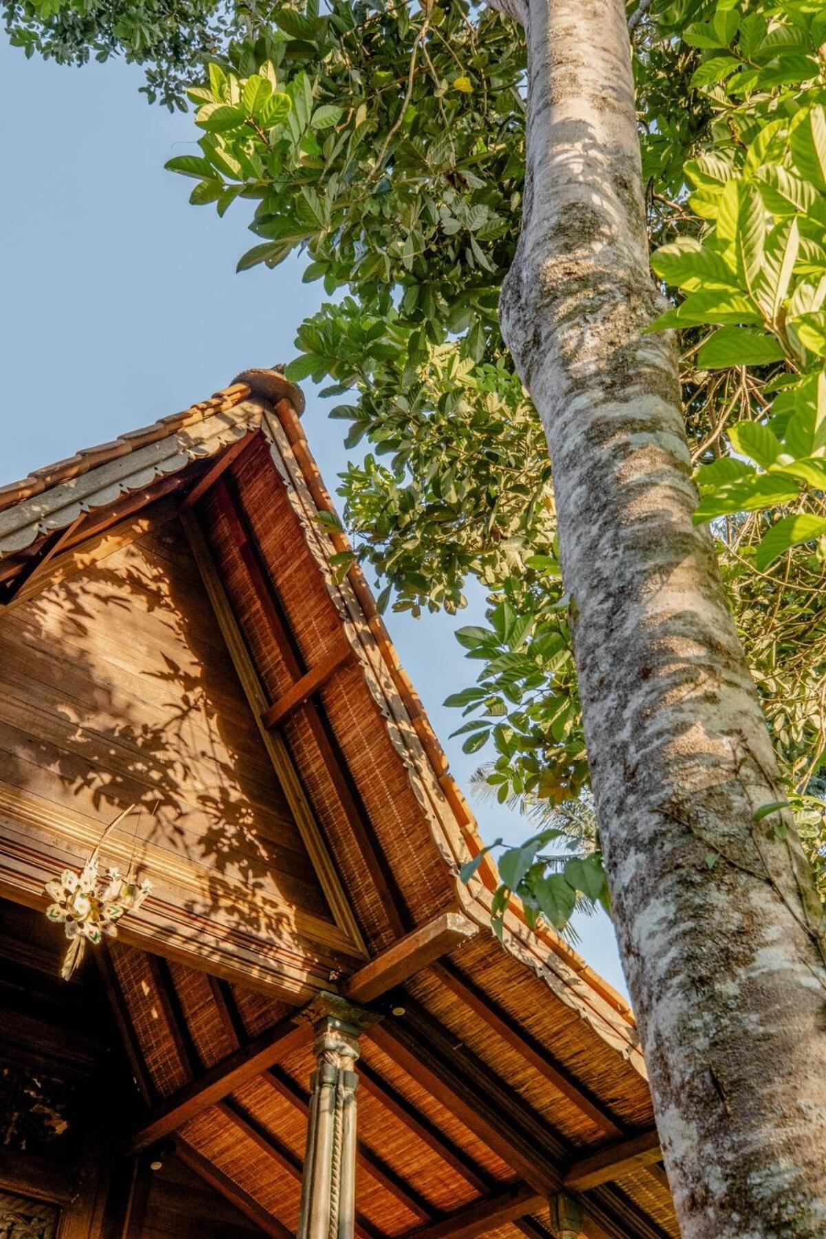 Tresna Bali Luxury Cabins Ubud