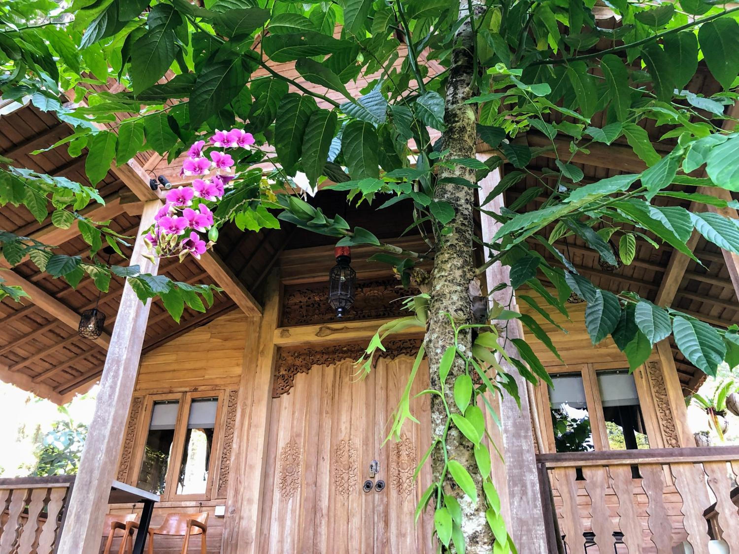 Tresna Bali Luxury Cabins Ubud