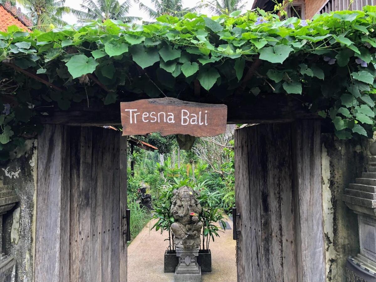 Tresna Bali Luxury Cabins Ubud