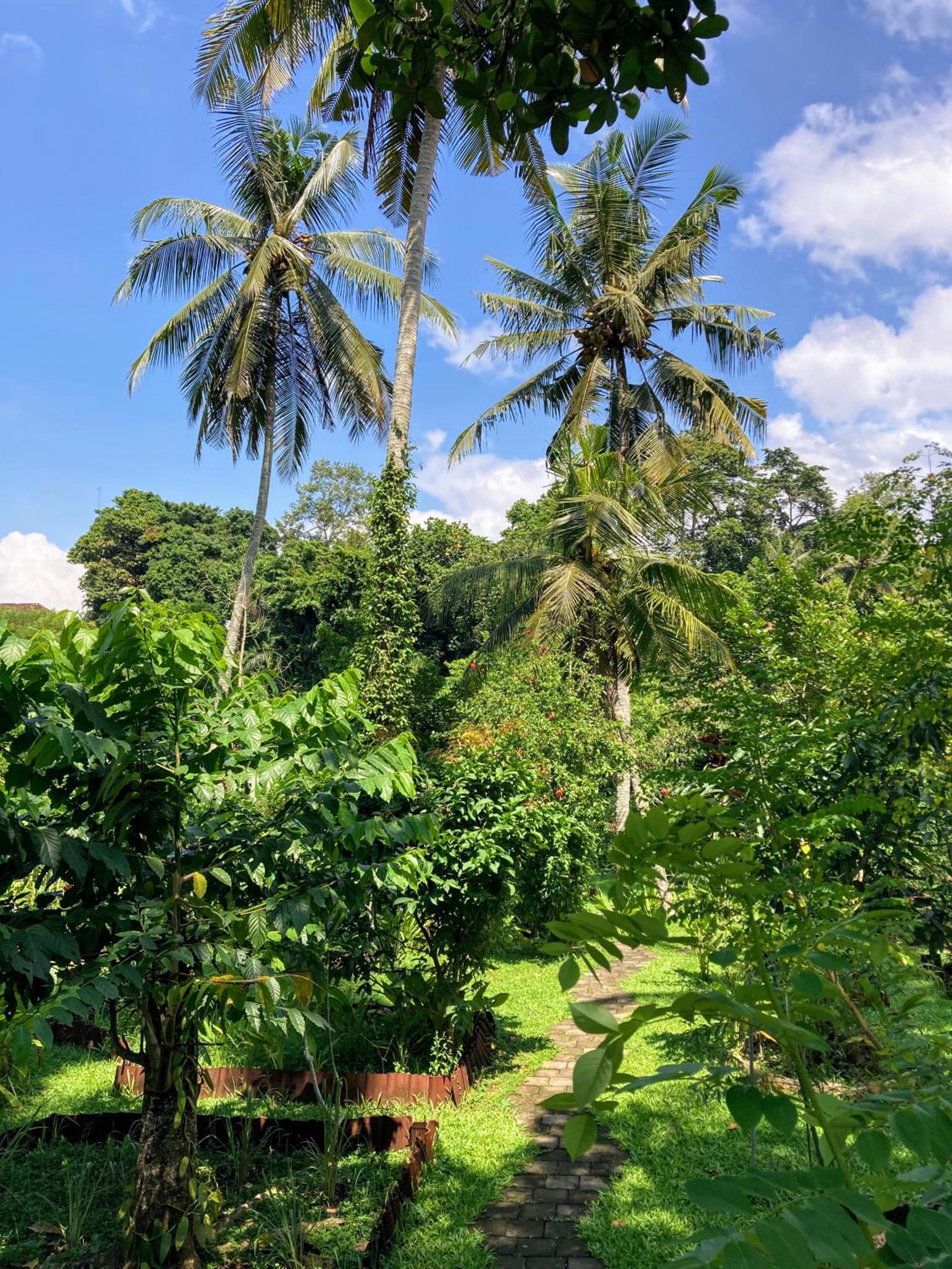 Tresna Bali Luxury Cabins Ubud