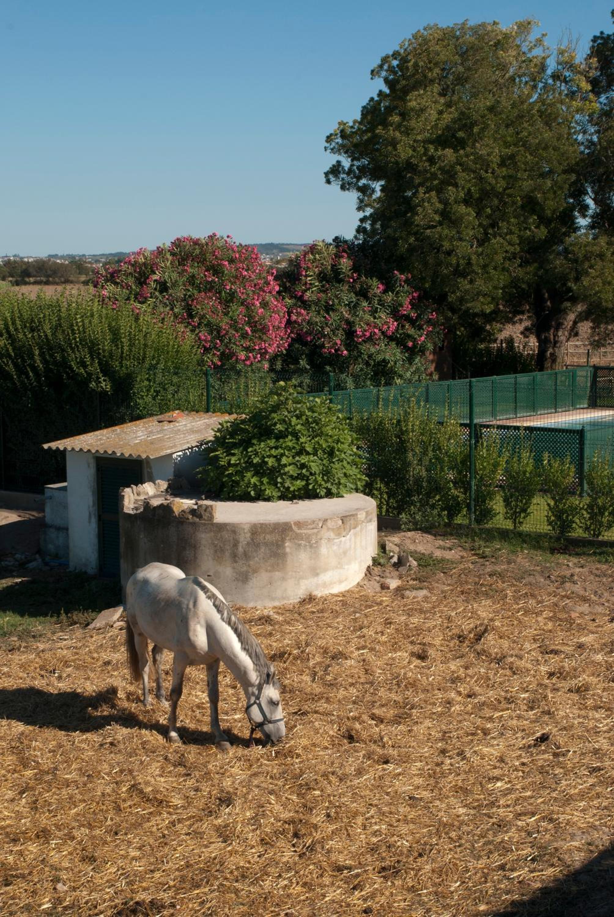 Quinta da Gafaria