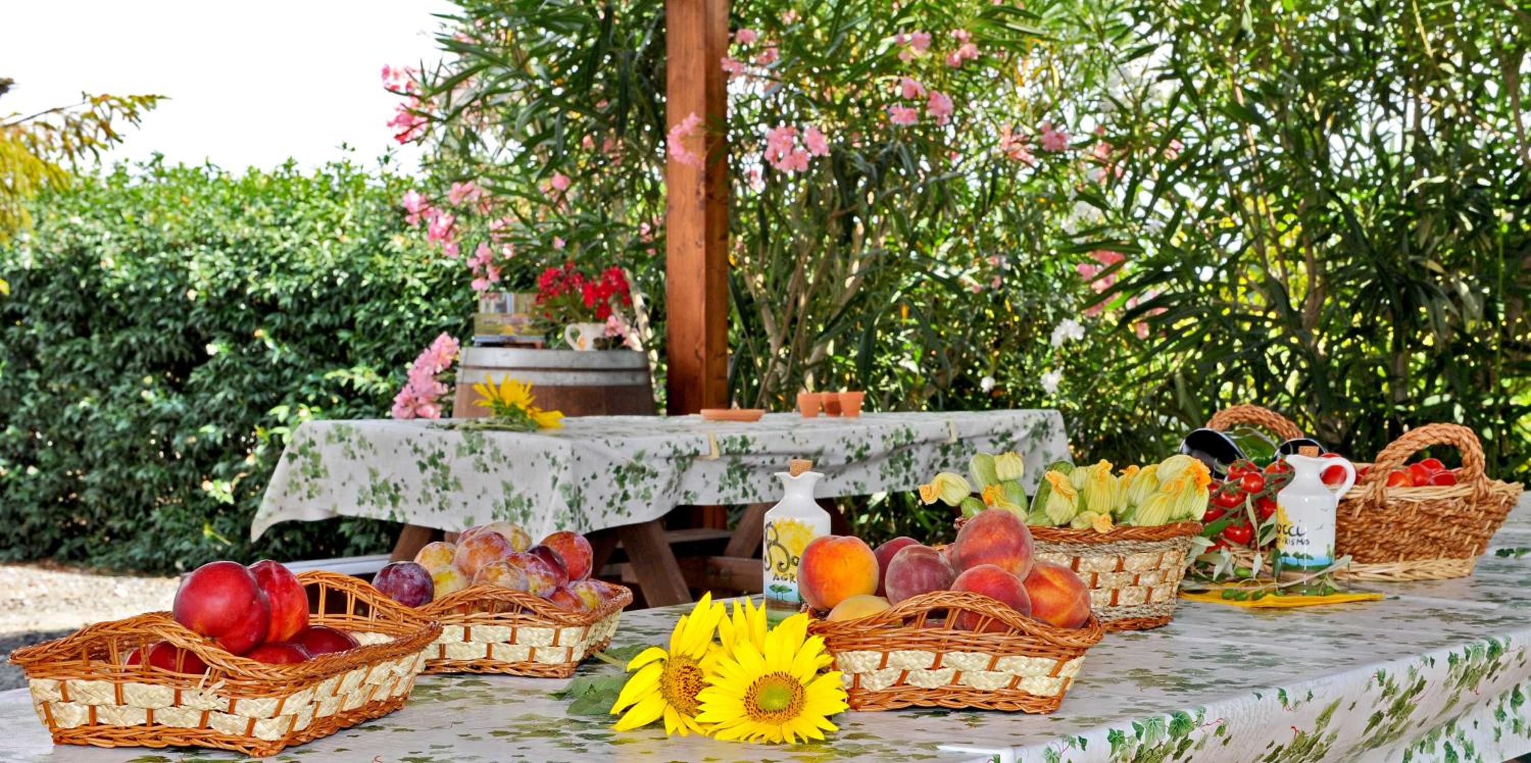 Agriturismo Bocci