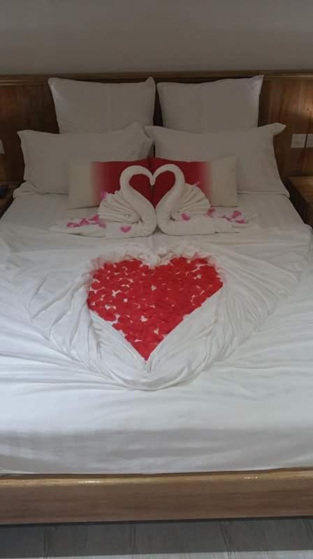 MC Self Catering