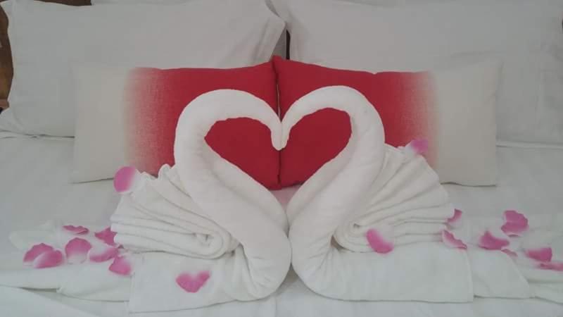 MC Self Catering