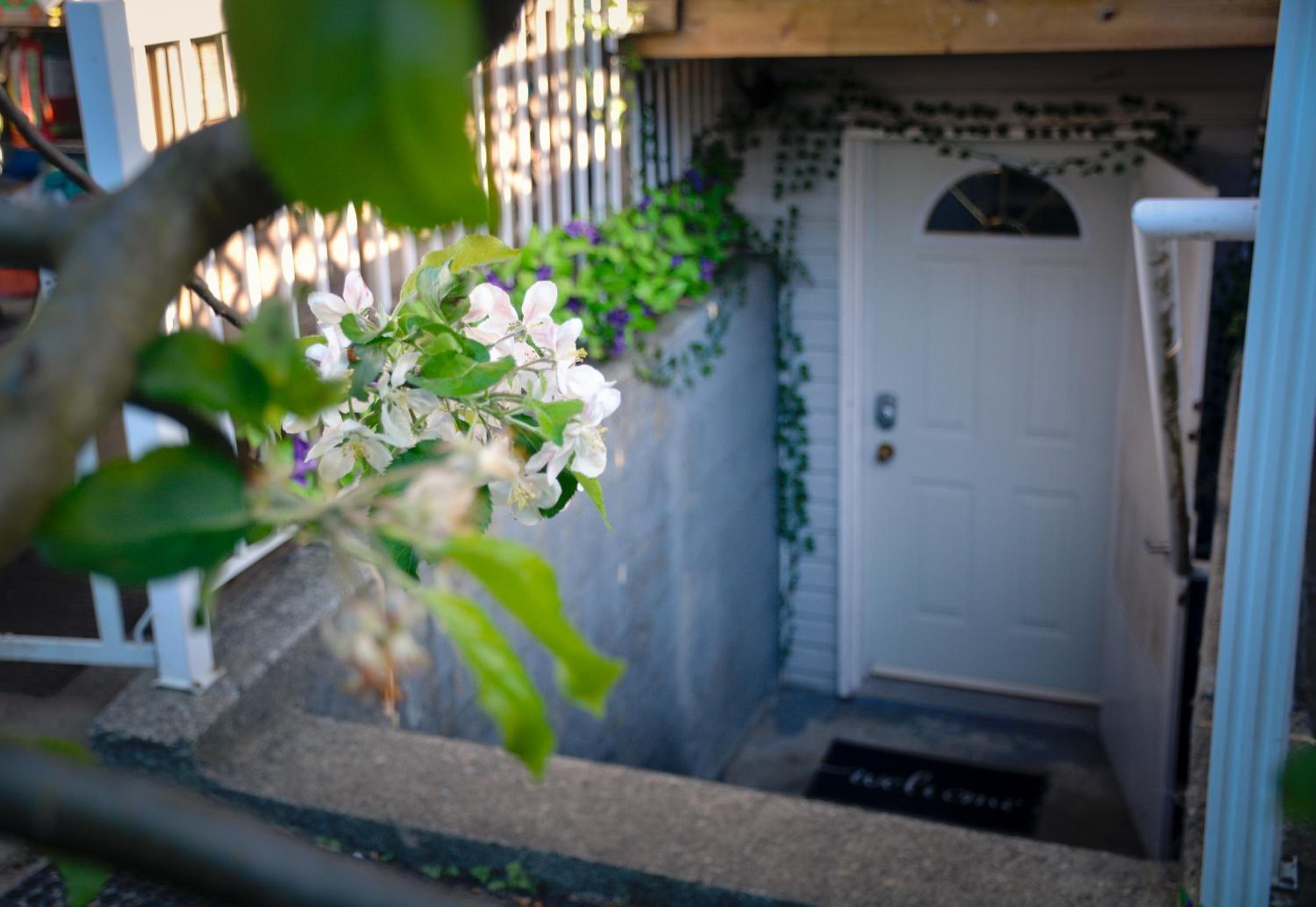 Calm, cozy, urban, family-friendly stay