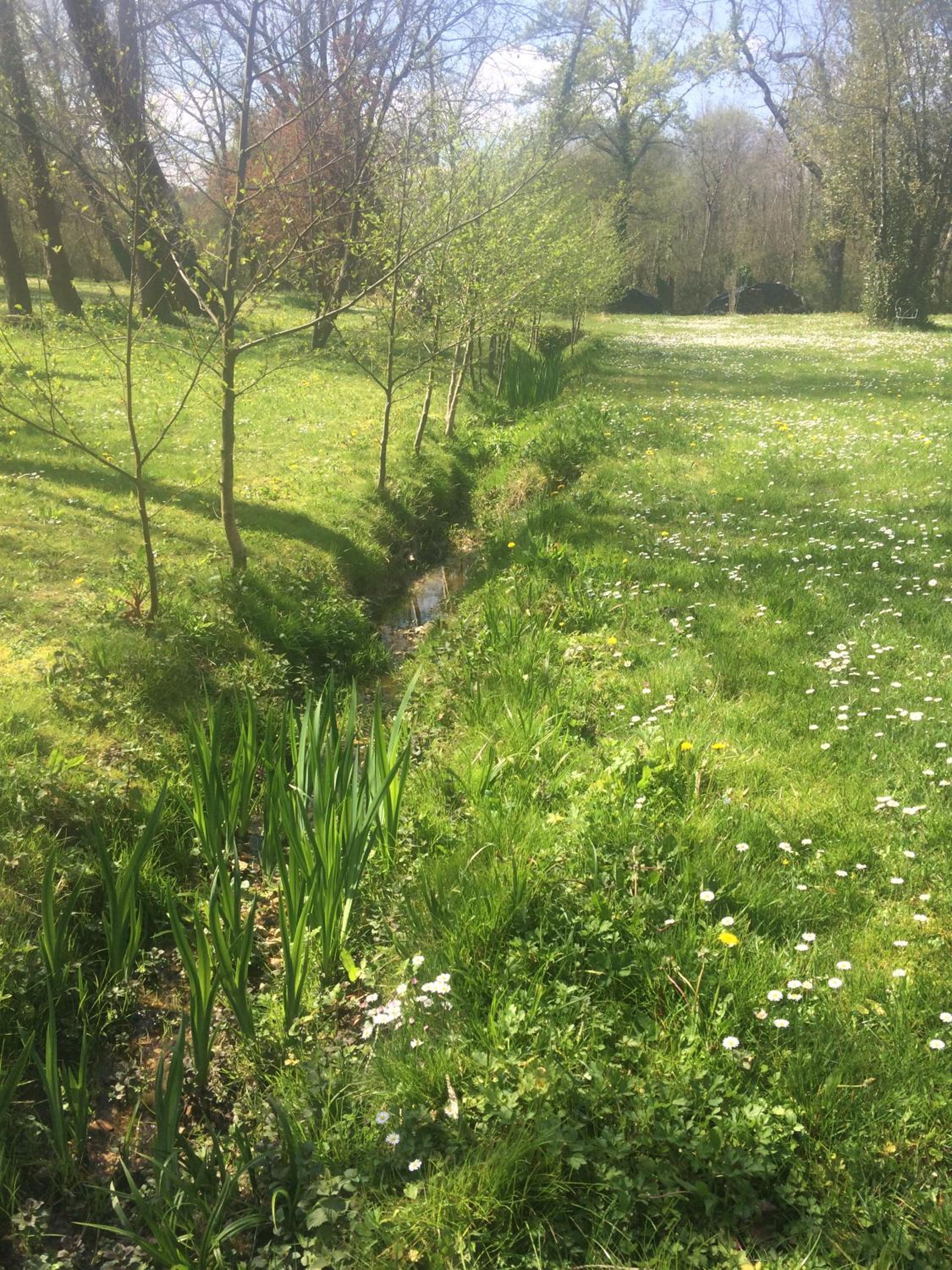 Photo 43