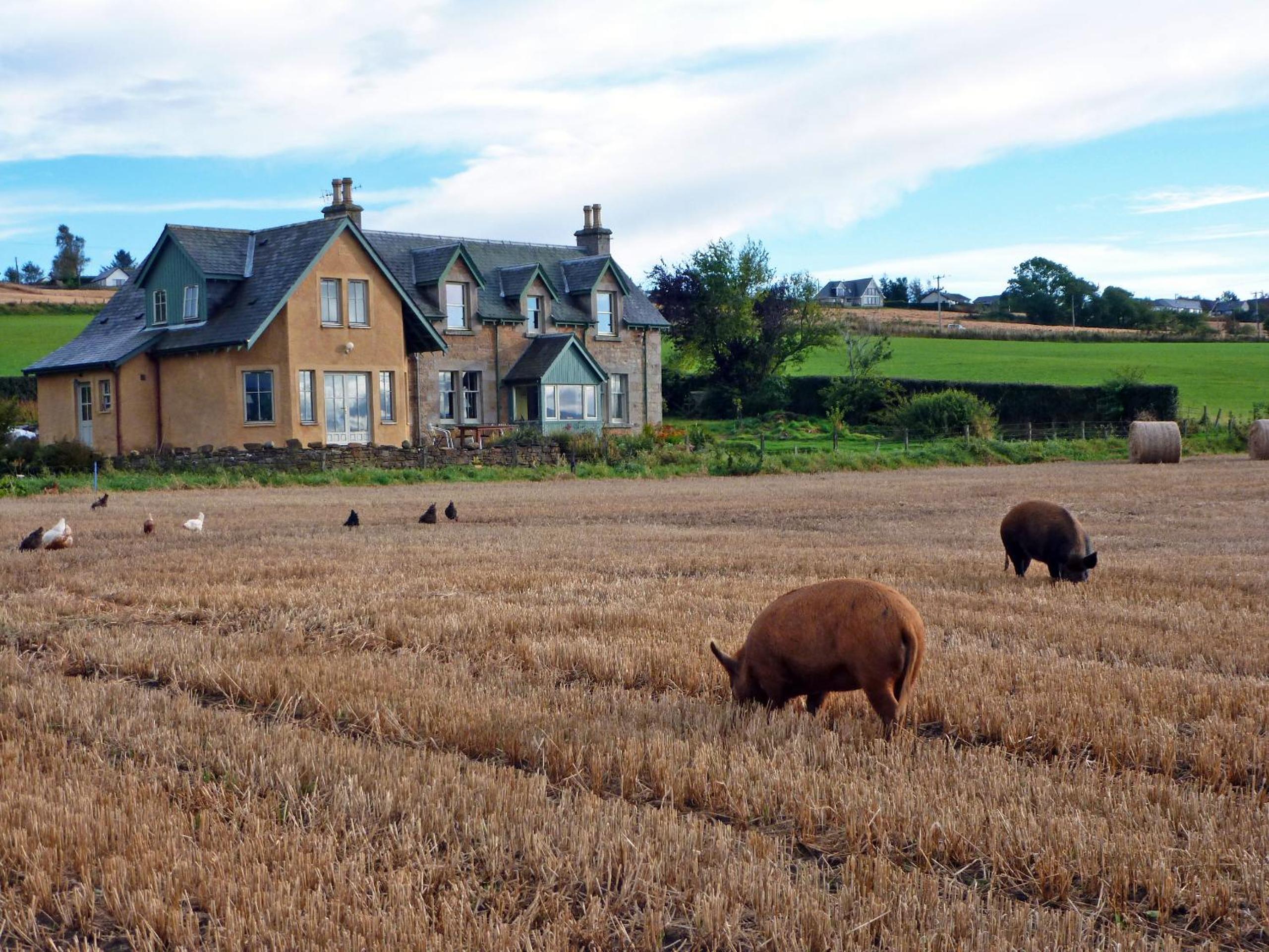 Netherton Farm B&B view 5