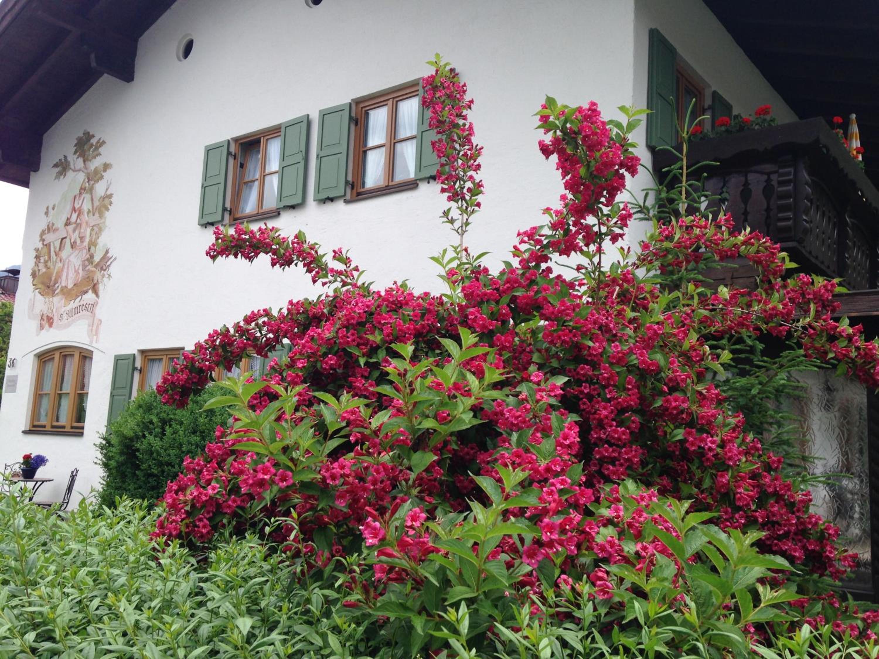Photo 47