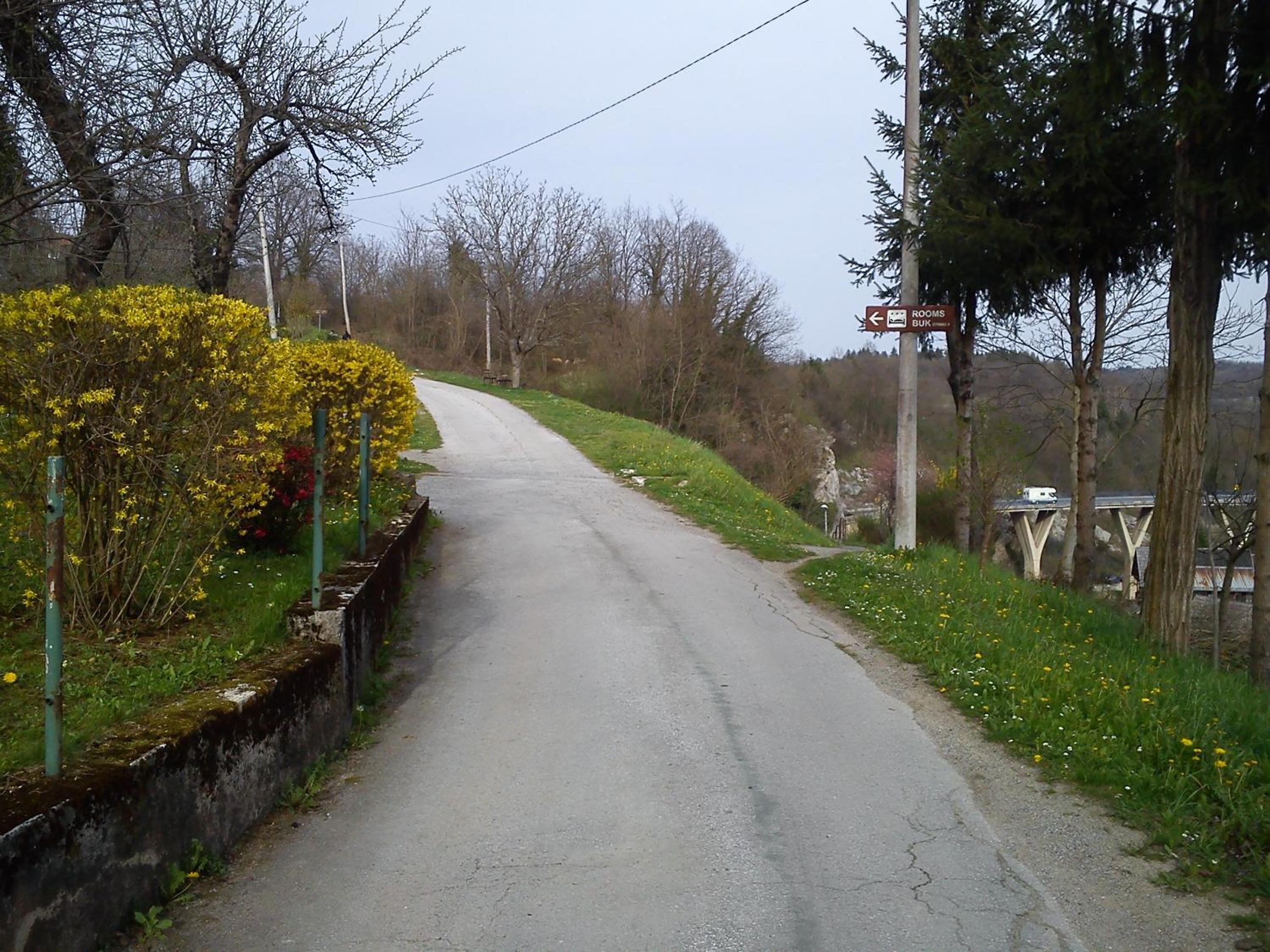 Photo 44