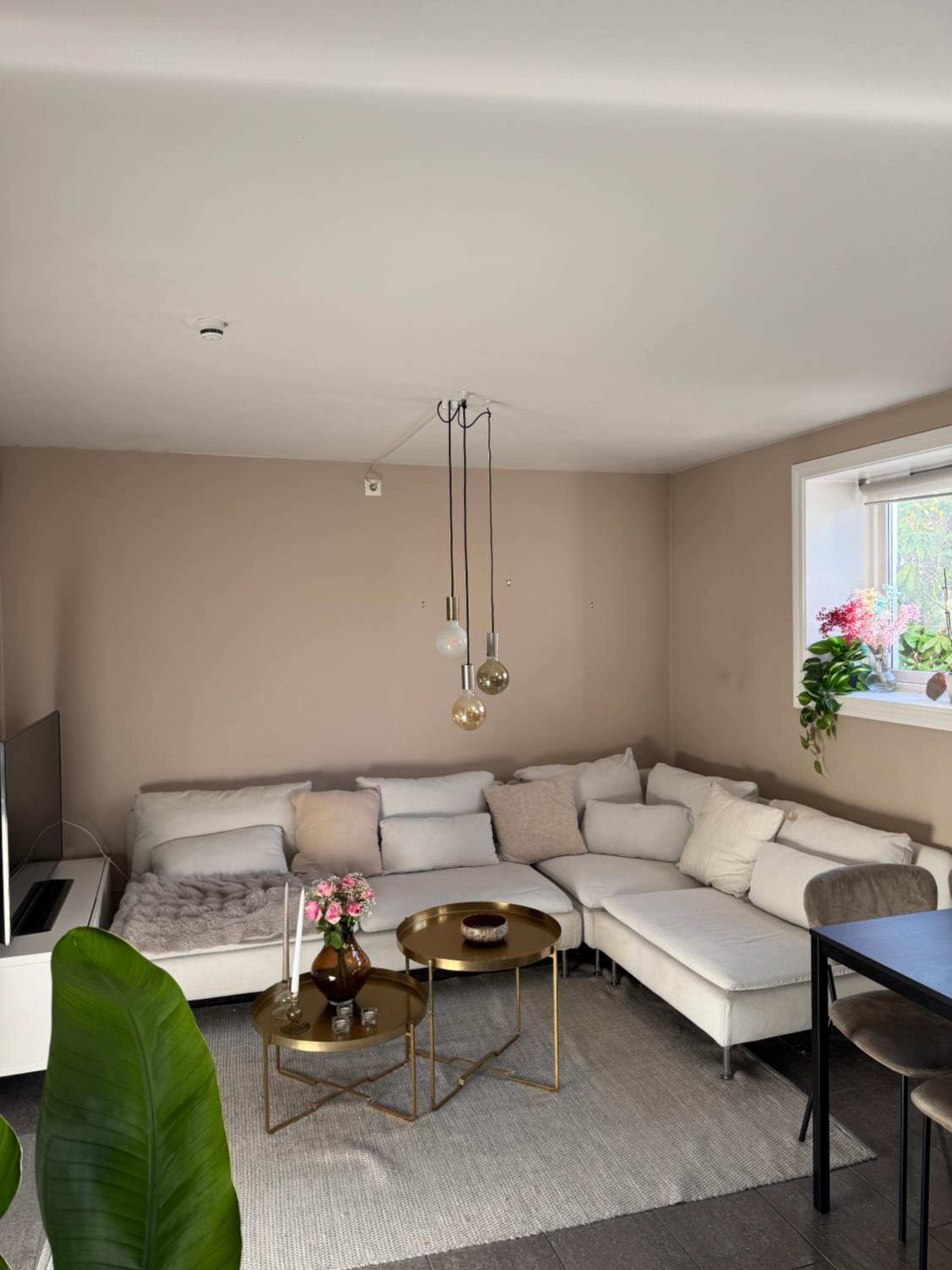 Cozy apartment near city center and the mountains