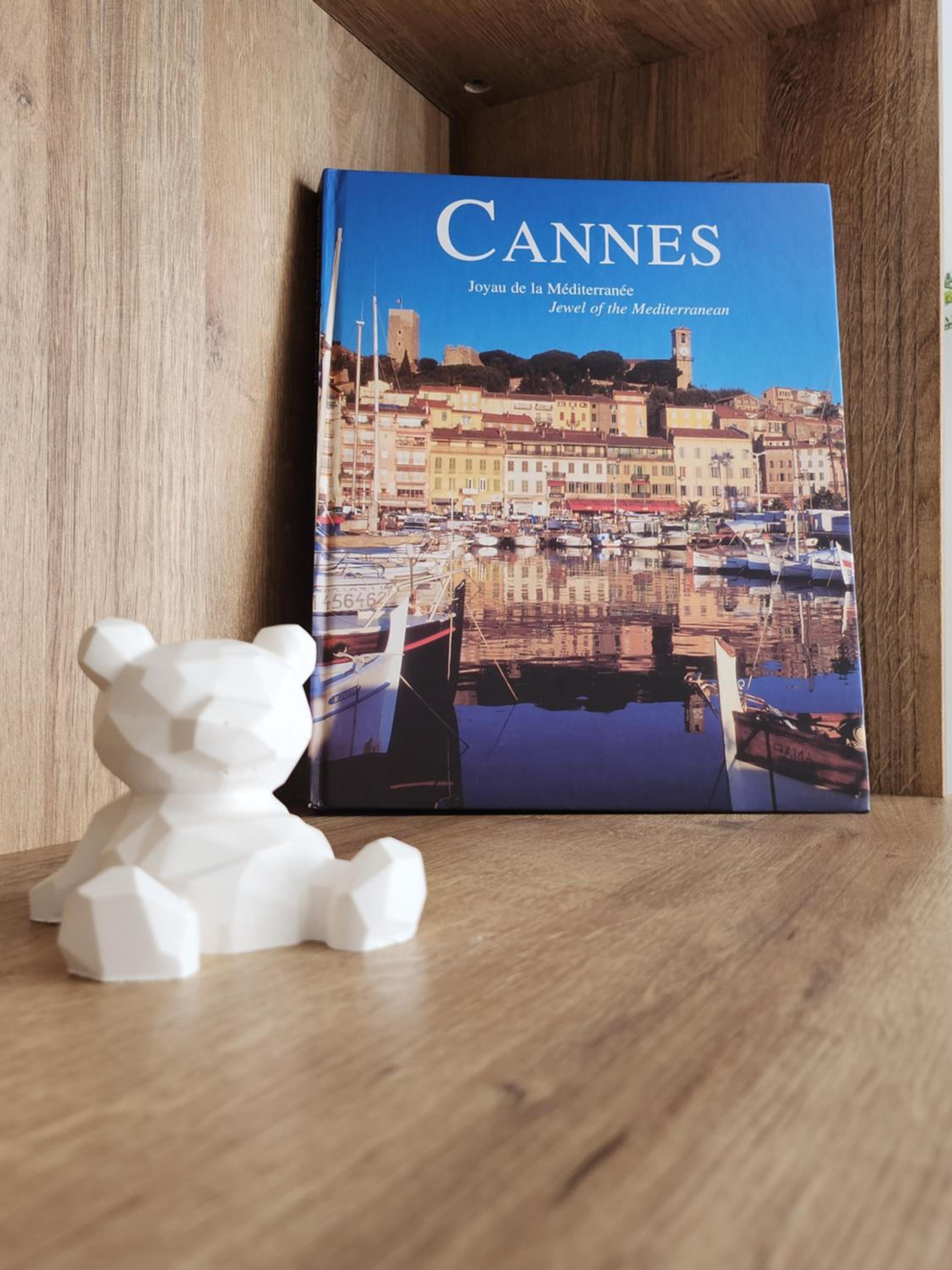 Cannes Paradis