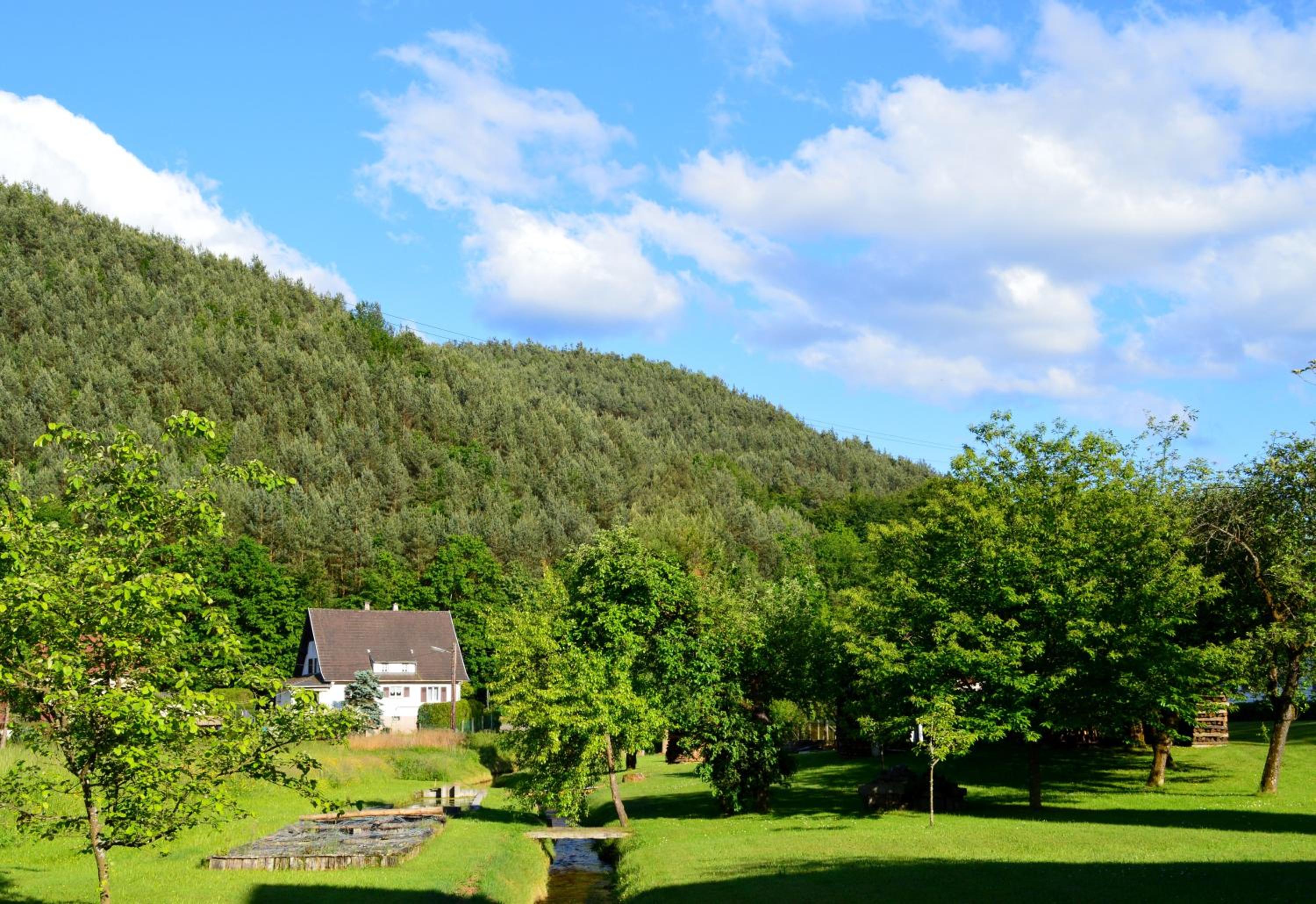 Le Gîte de l'Ecureuil view 4