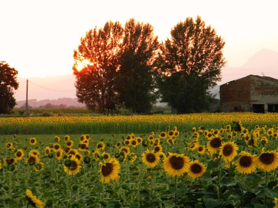 Agriturismo Settepassi Tuscany