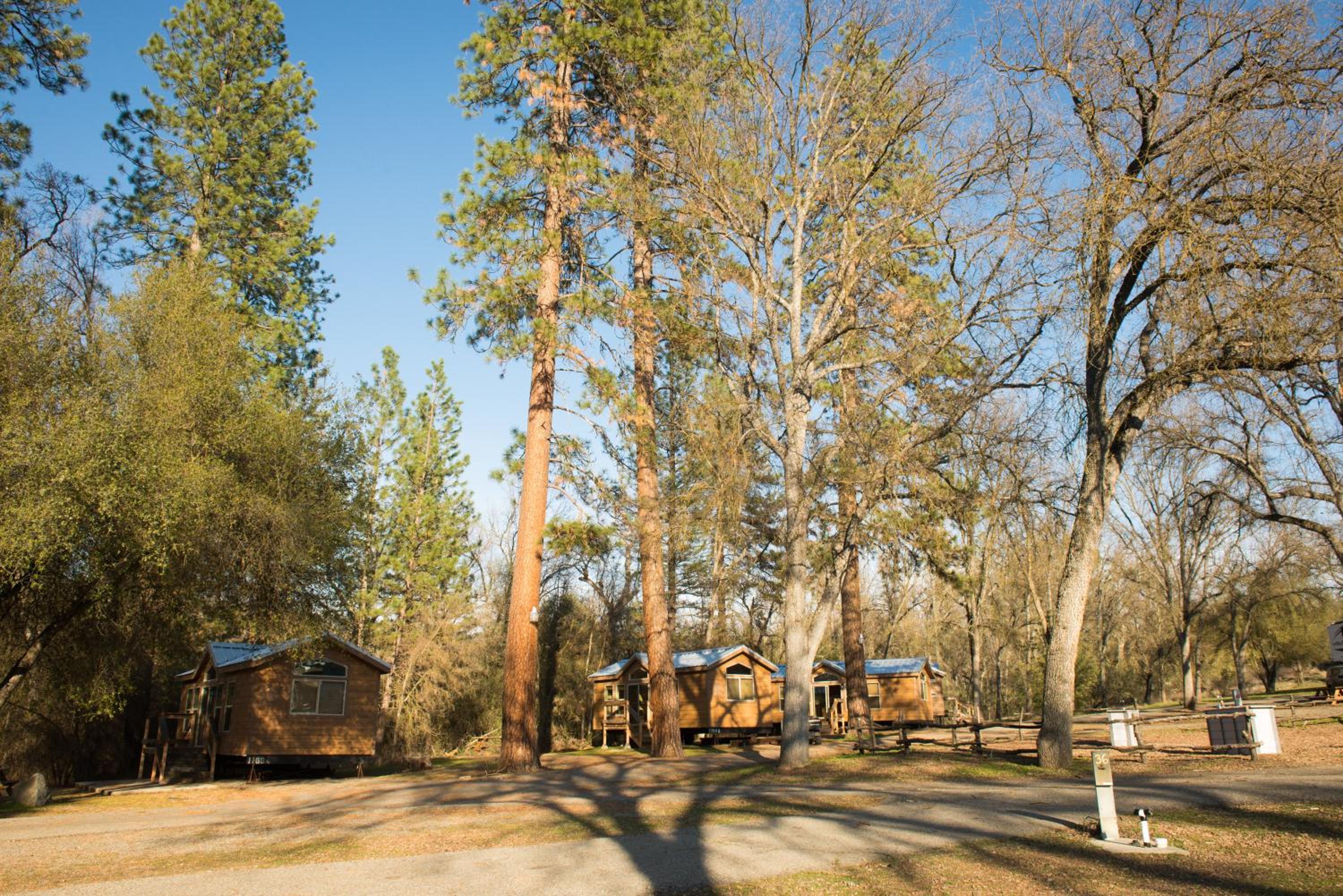 Sierra Meadows