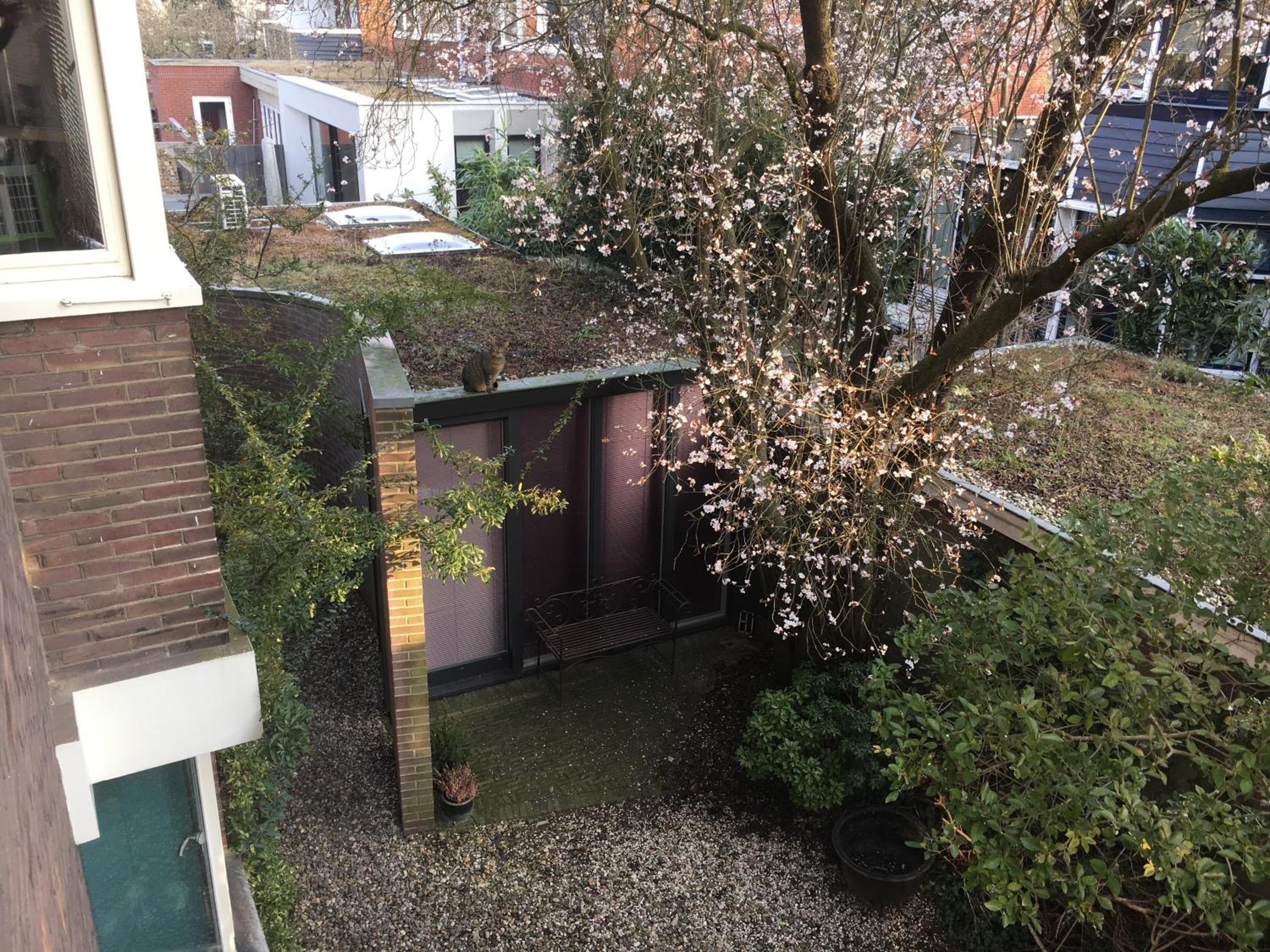 Photo 41