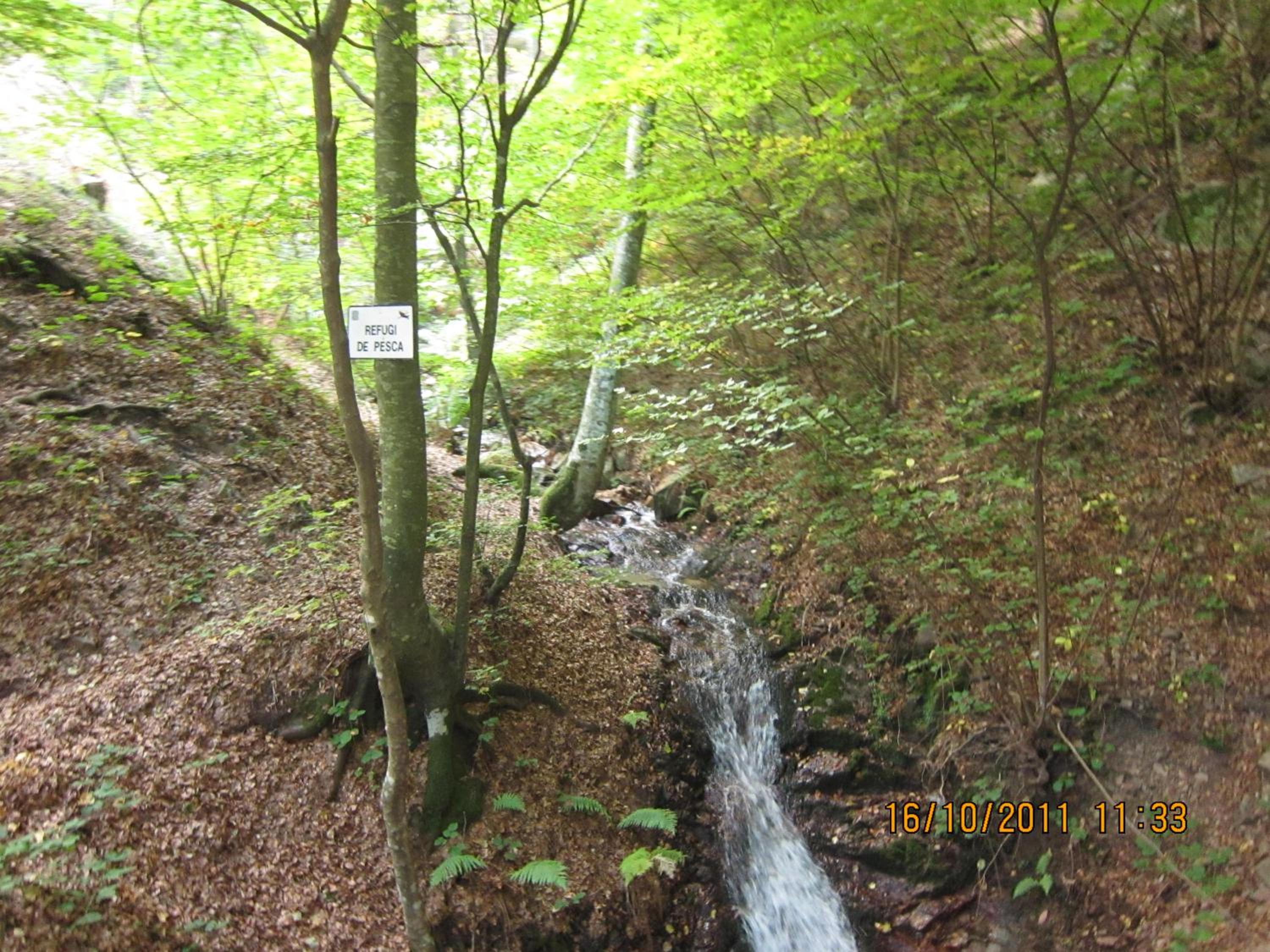 Photo 24