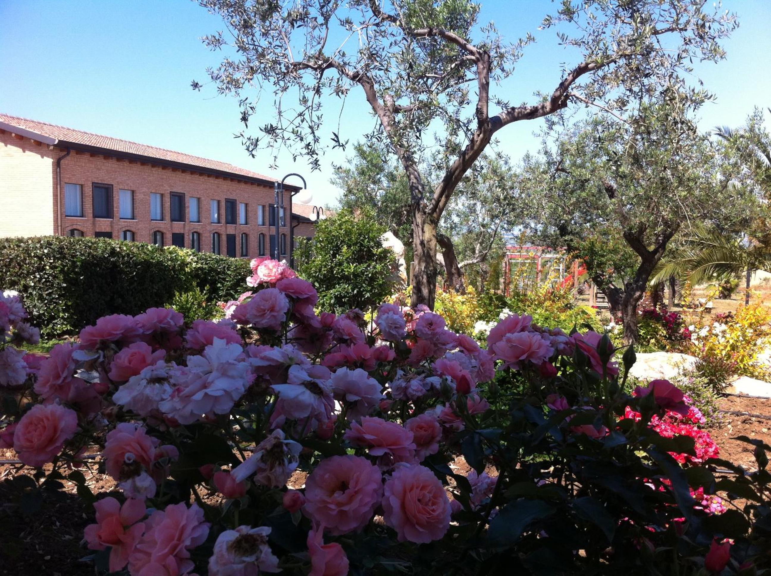 Photo 5