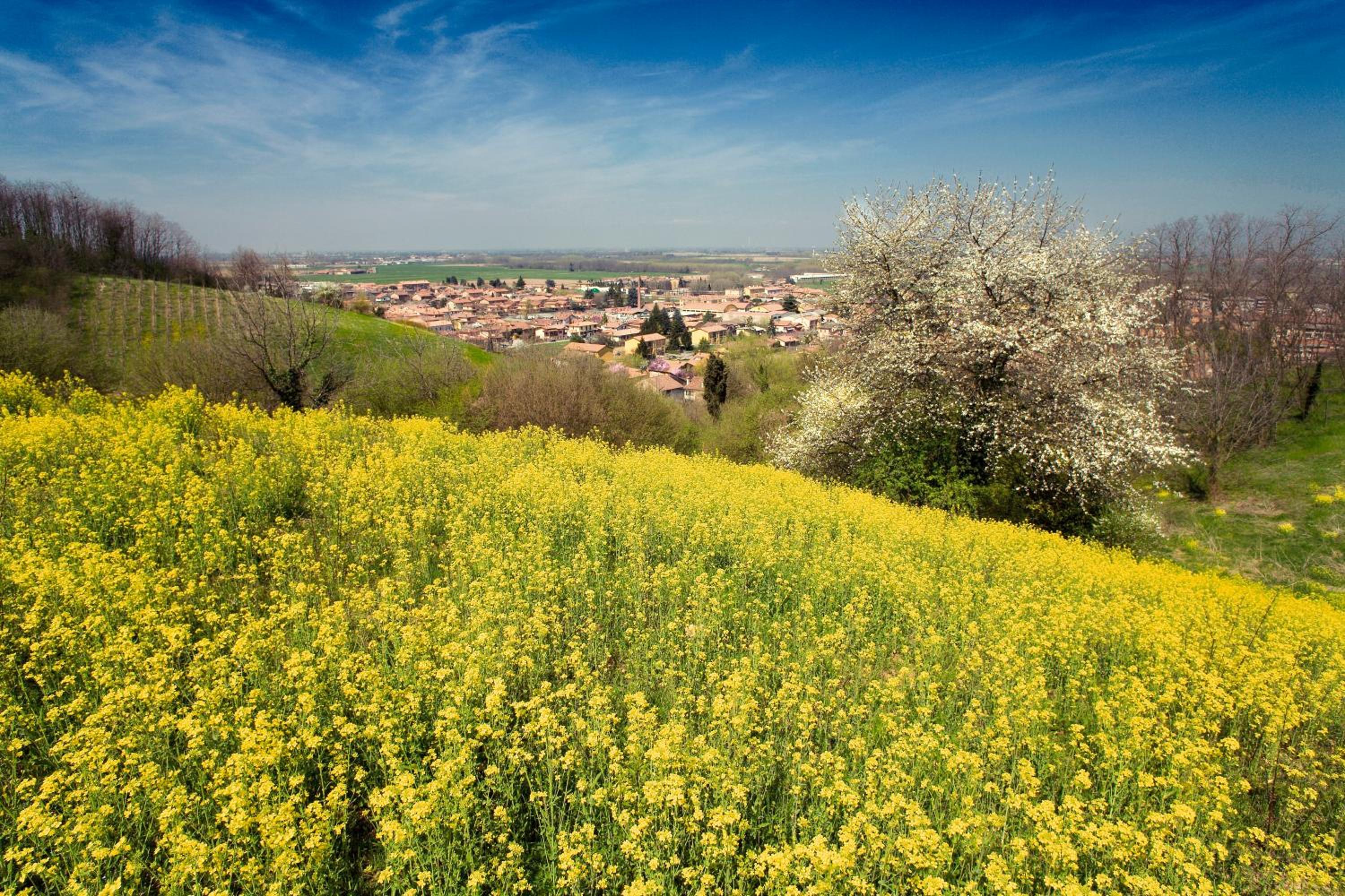 Bed & Breakfast Sforza 19