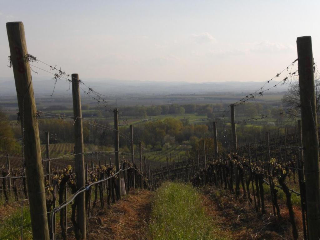 Bed & Breakfast Sforza 19