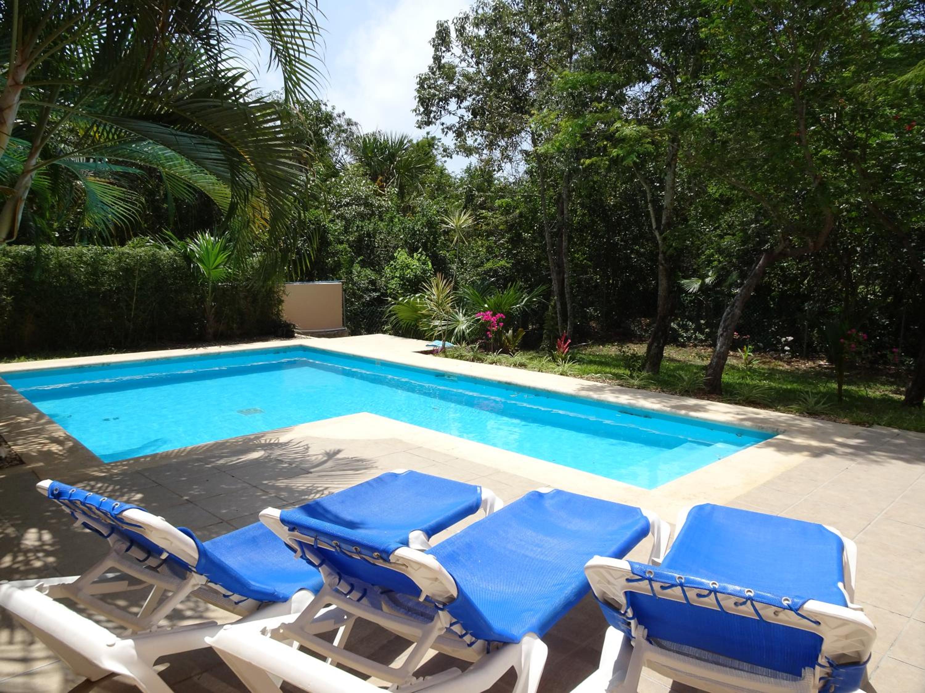 La Salamandra, photo 26