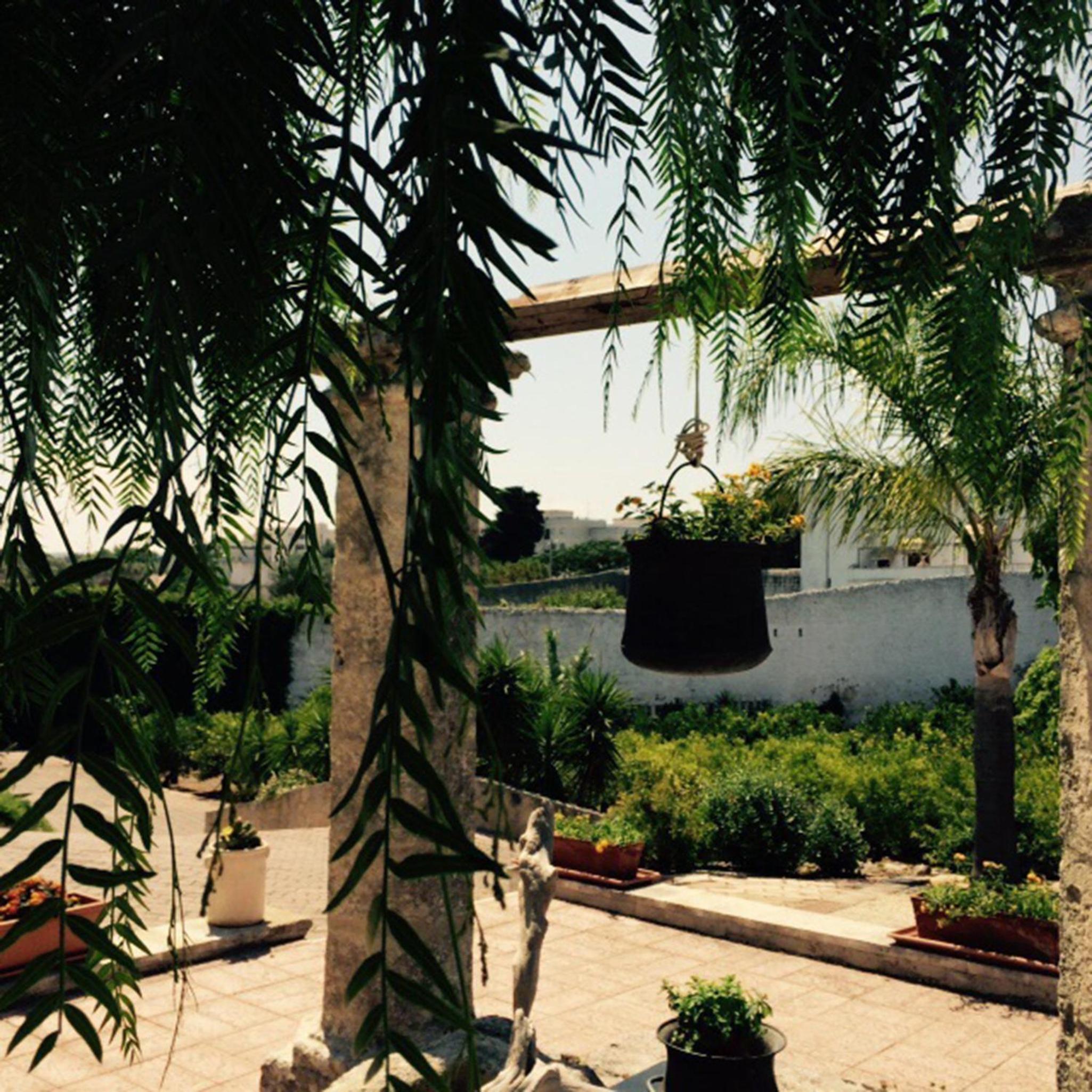 Photo 43