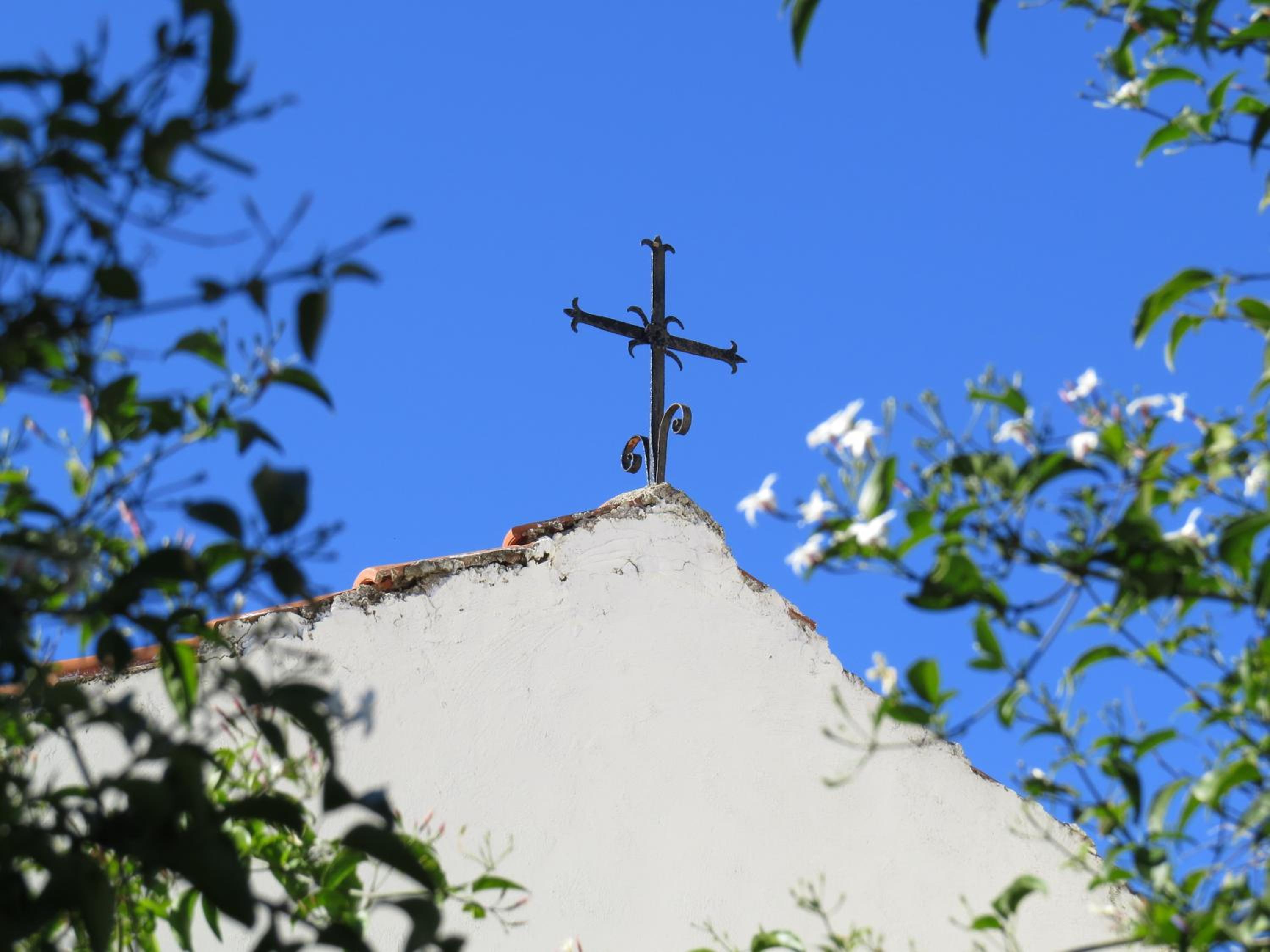 Photo 44