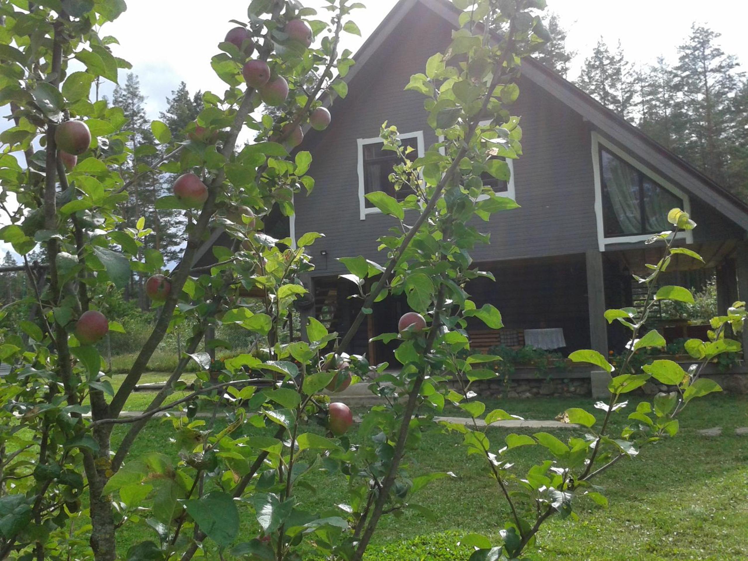 Guest House Ziedkalni
