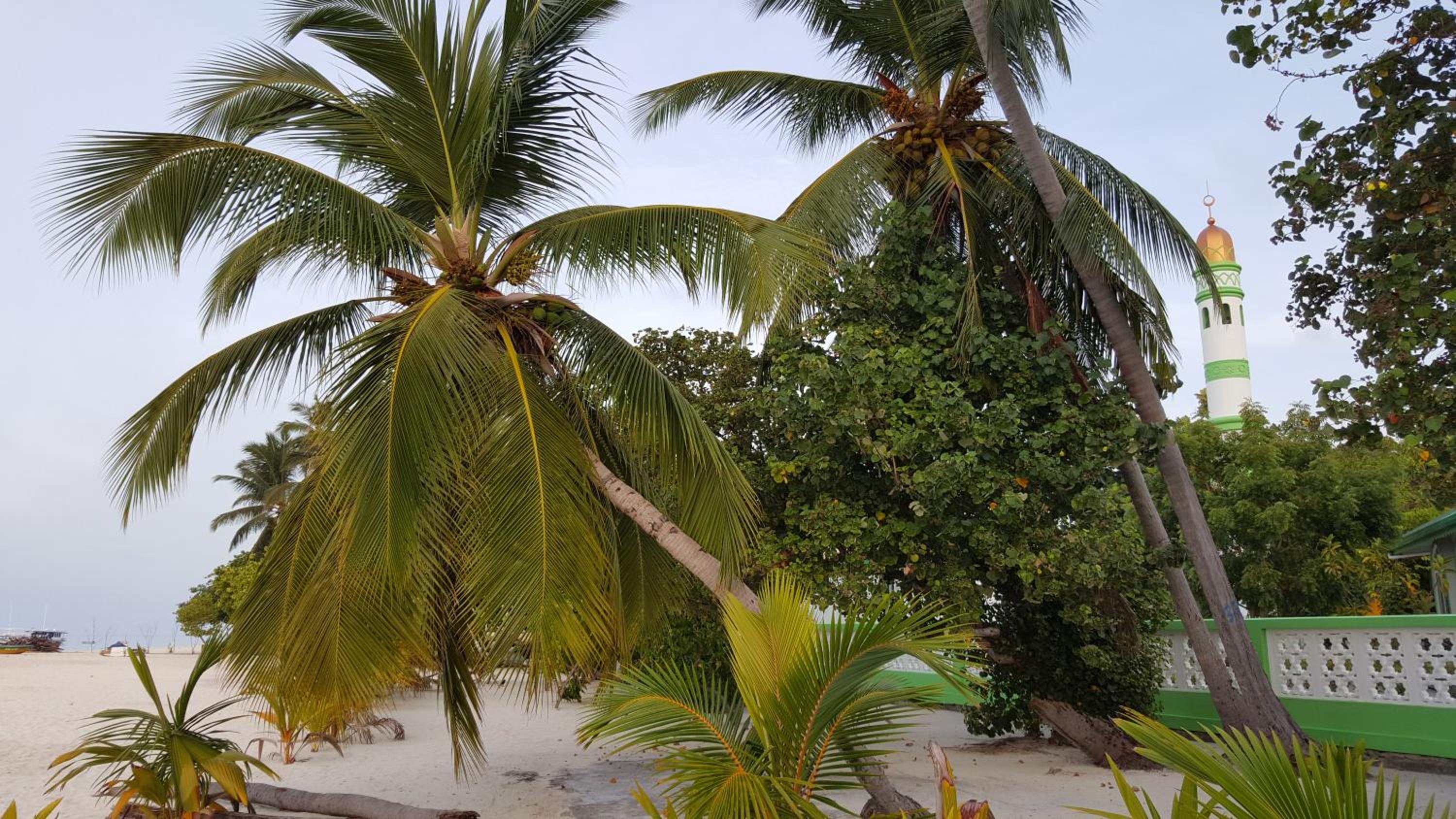 Kinan Retreat