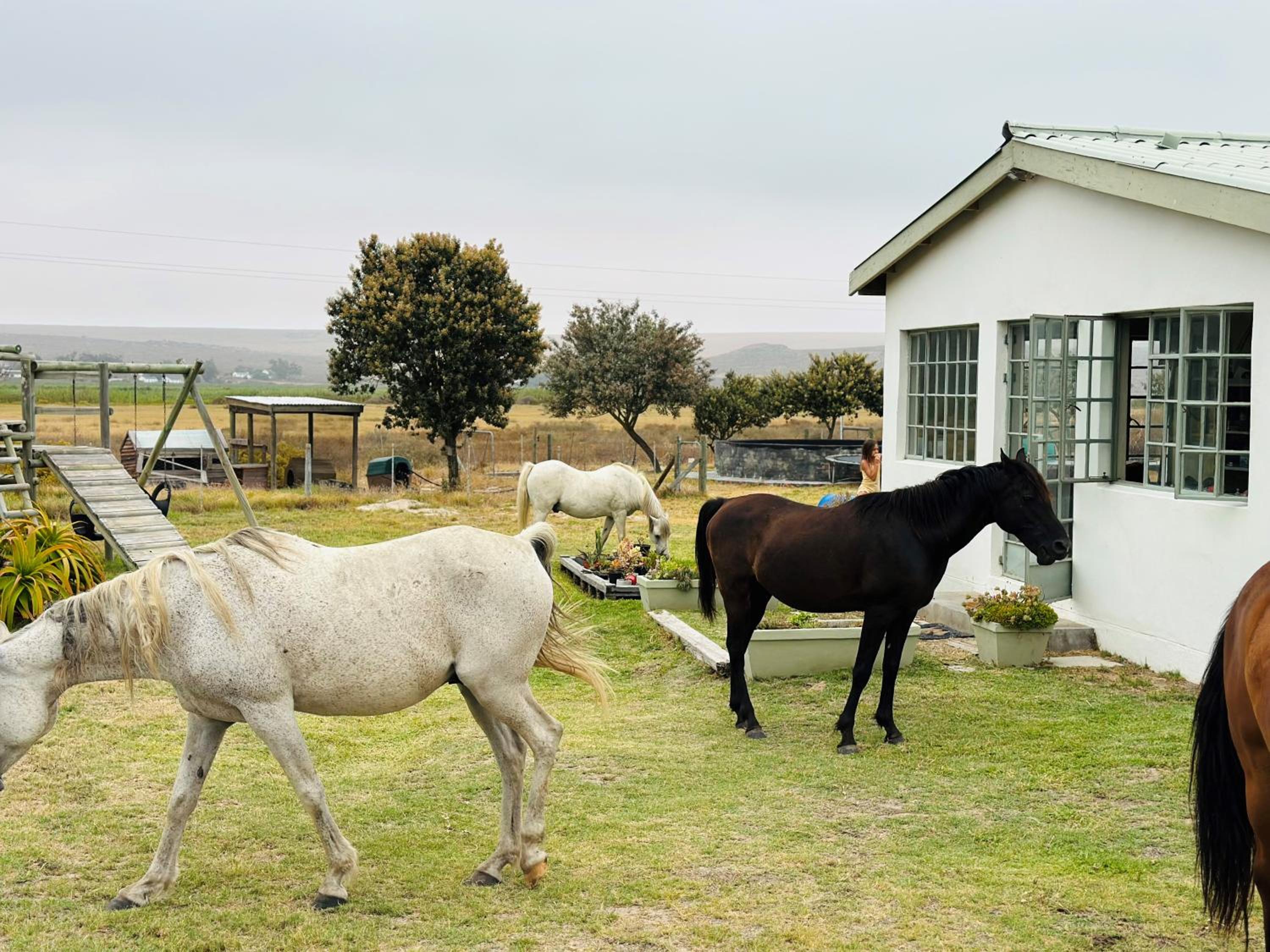 FarmStay