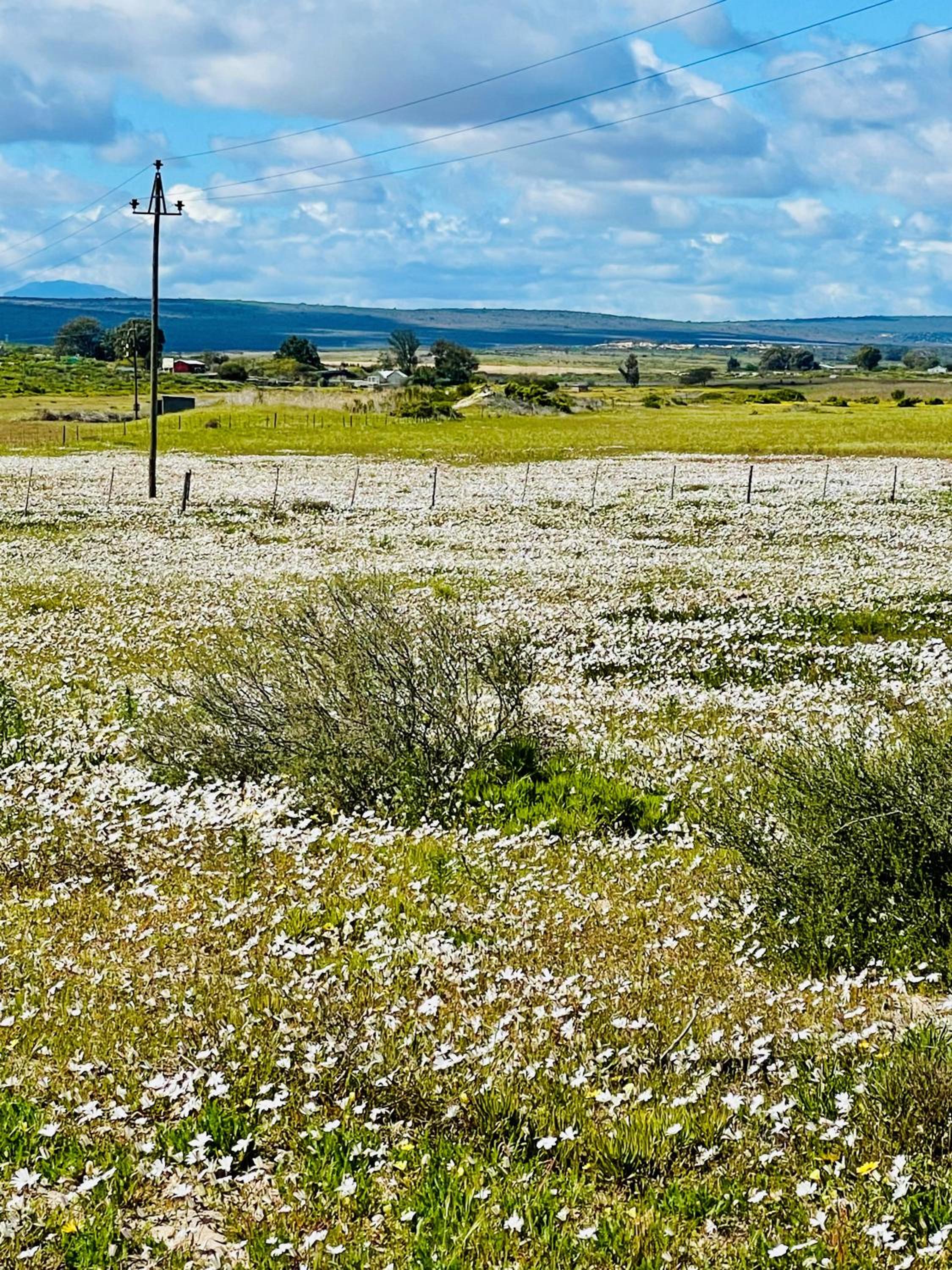 FarmStay