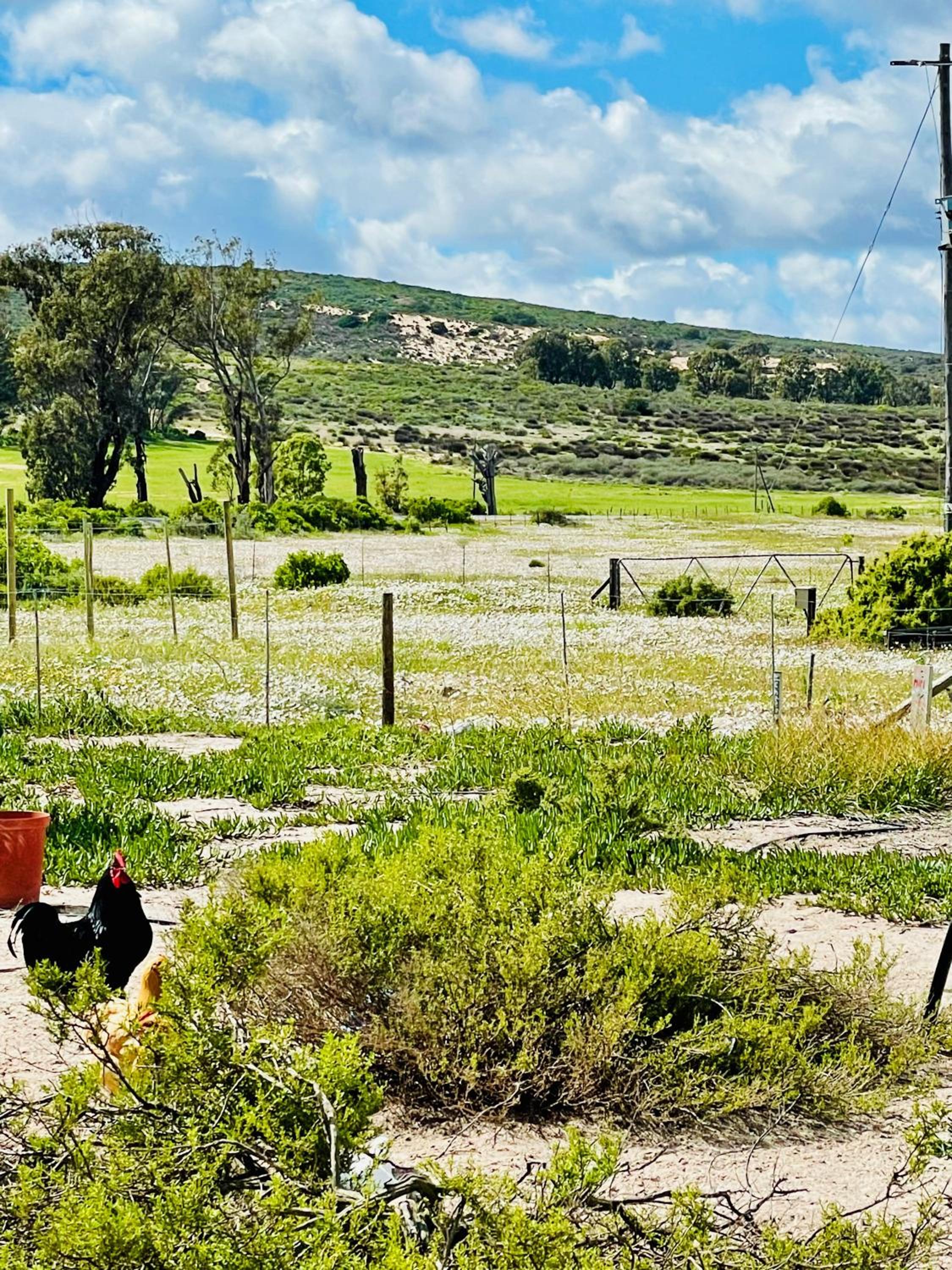 FarmStay