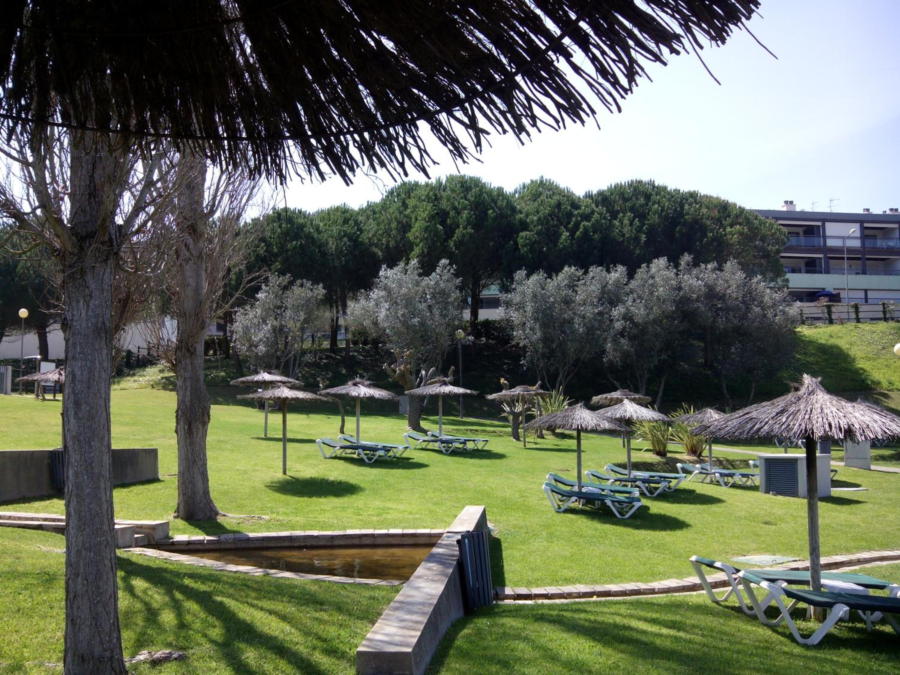 Photo 52