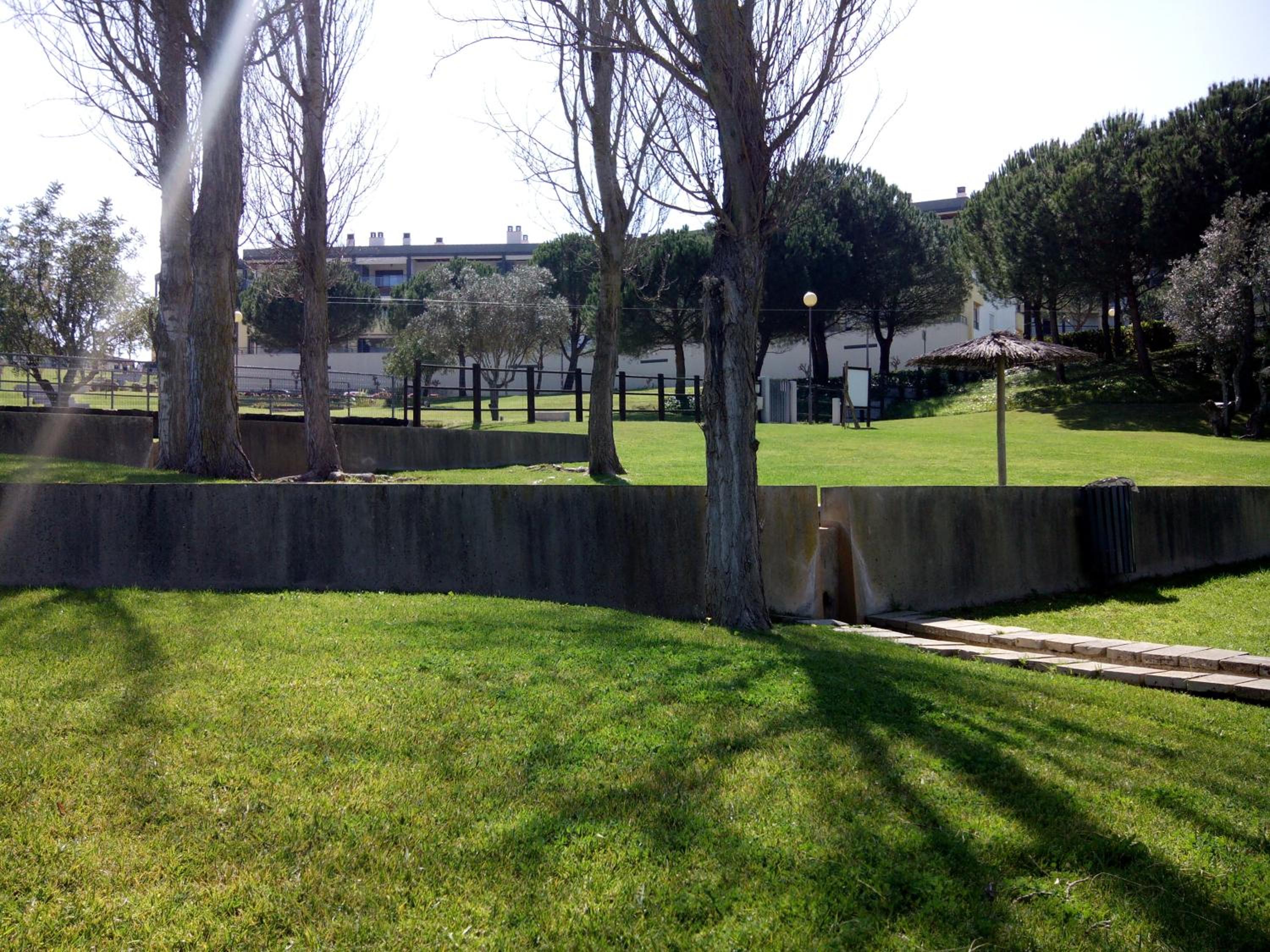 Photo 53