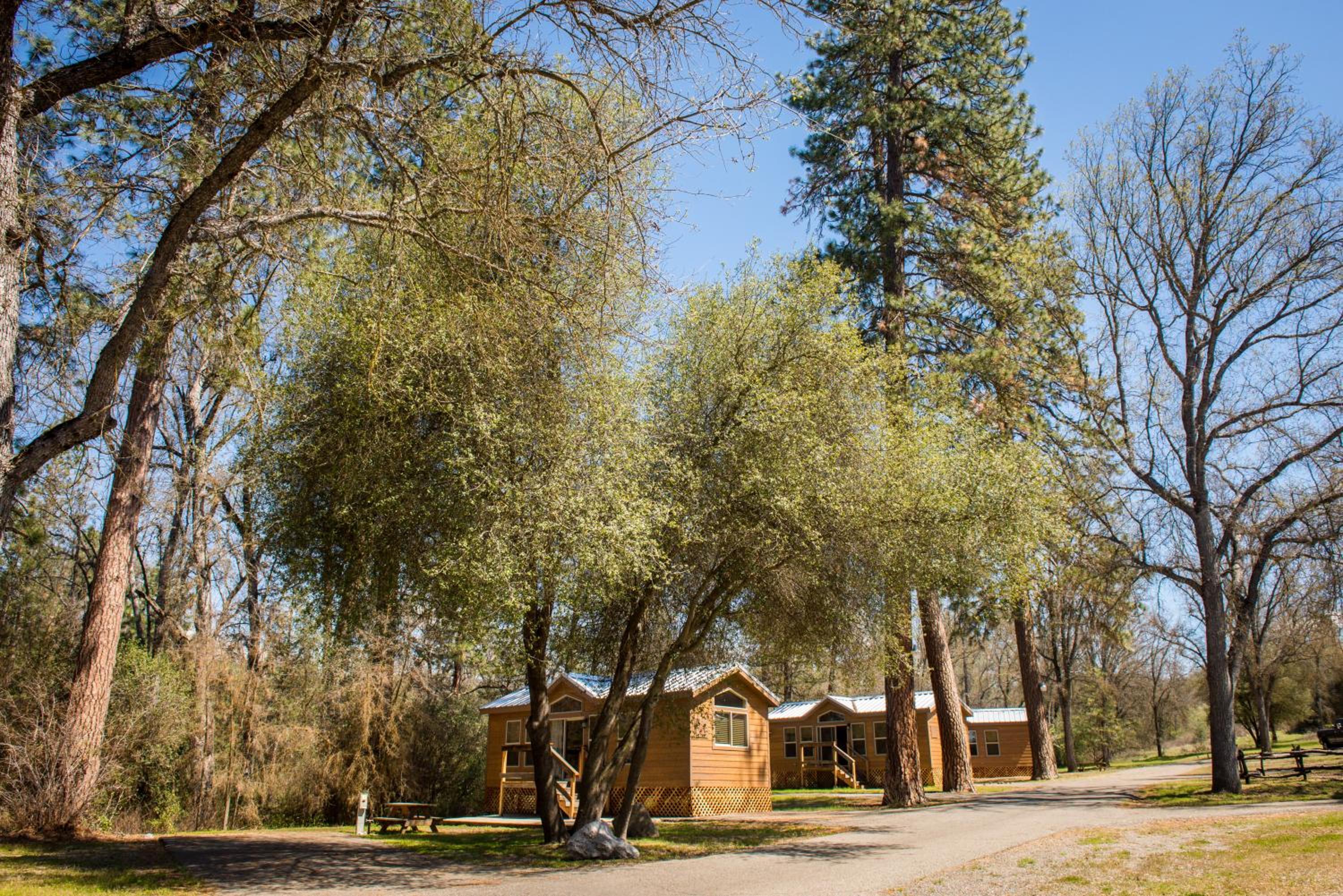 Sierra Meadows