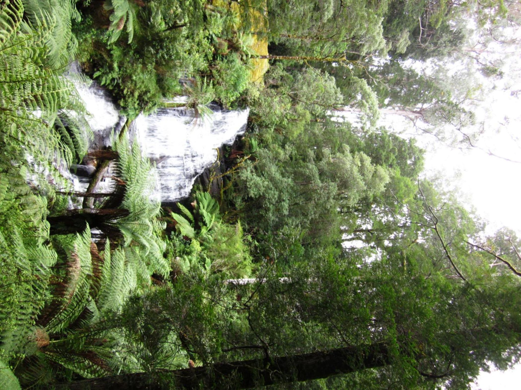 Johanna River Farm & Cottages