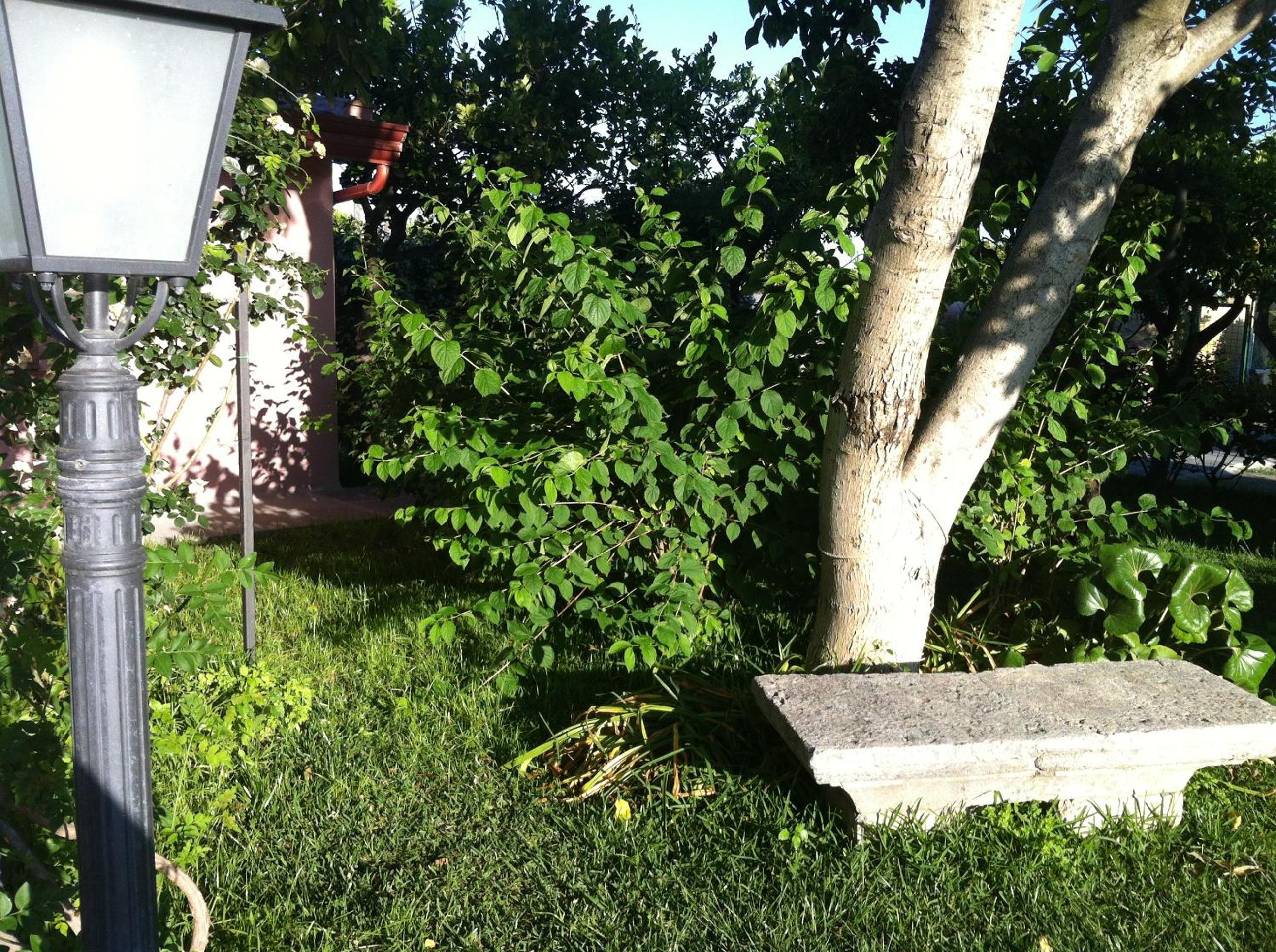 other