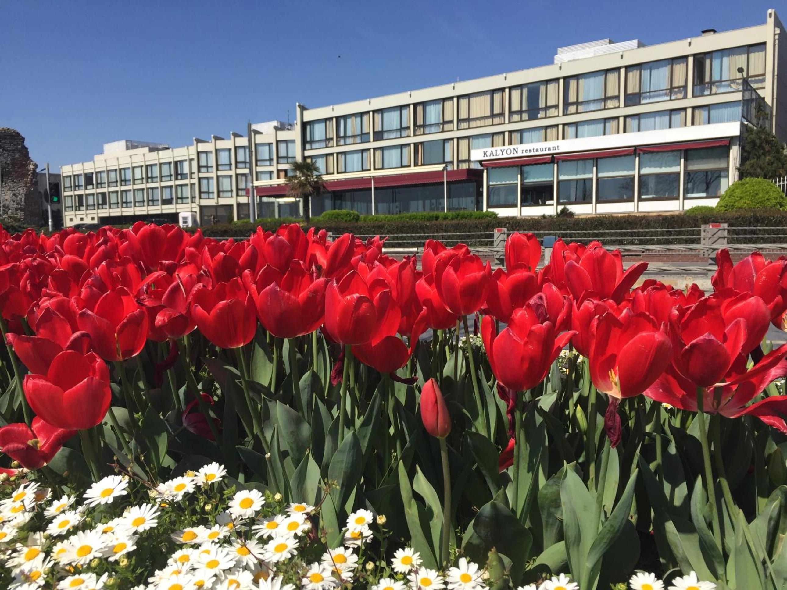 Kalyon Hotel Istanbul - Image 68