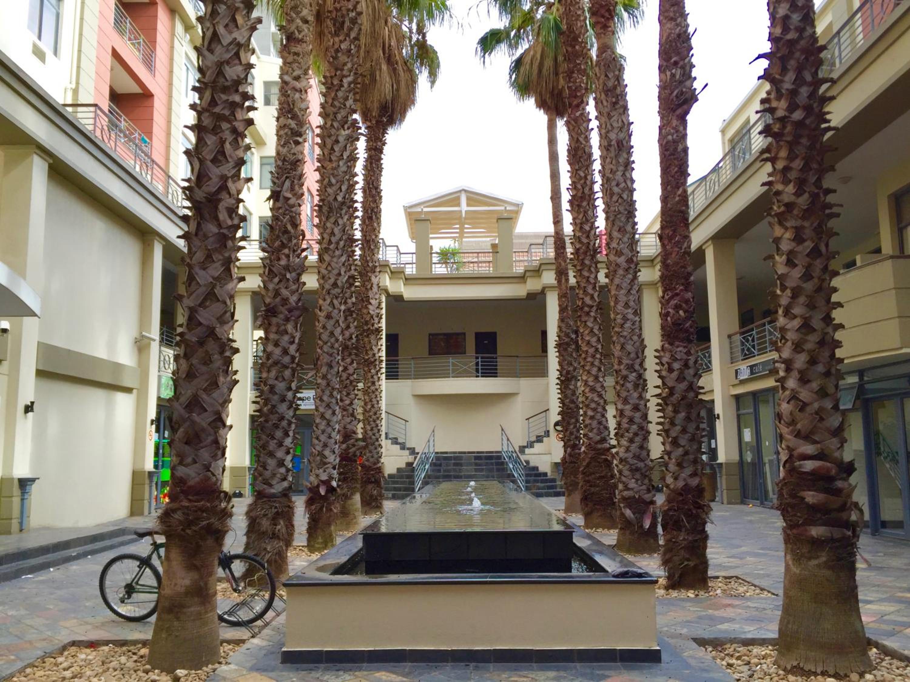 Urban Oasis at The Square