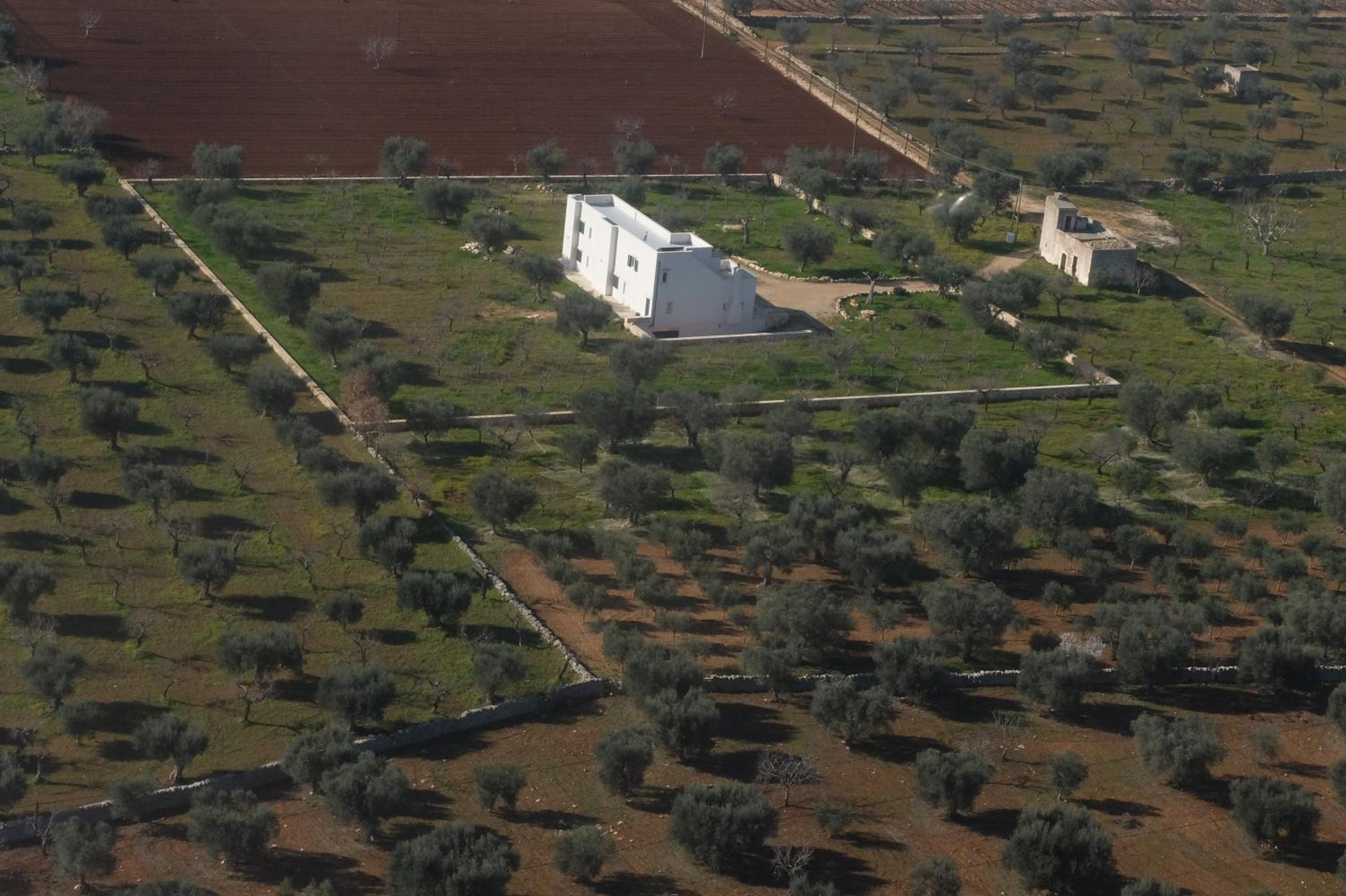 Photo 17
