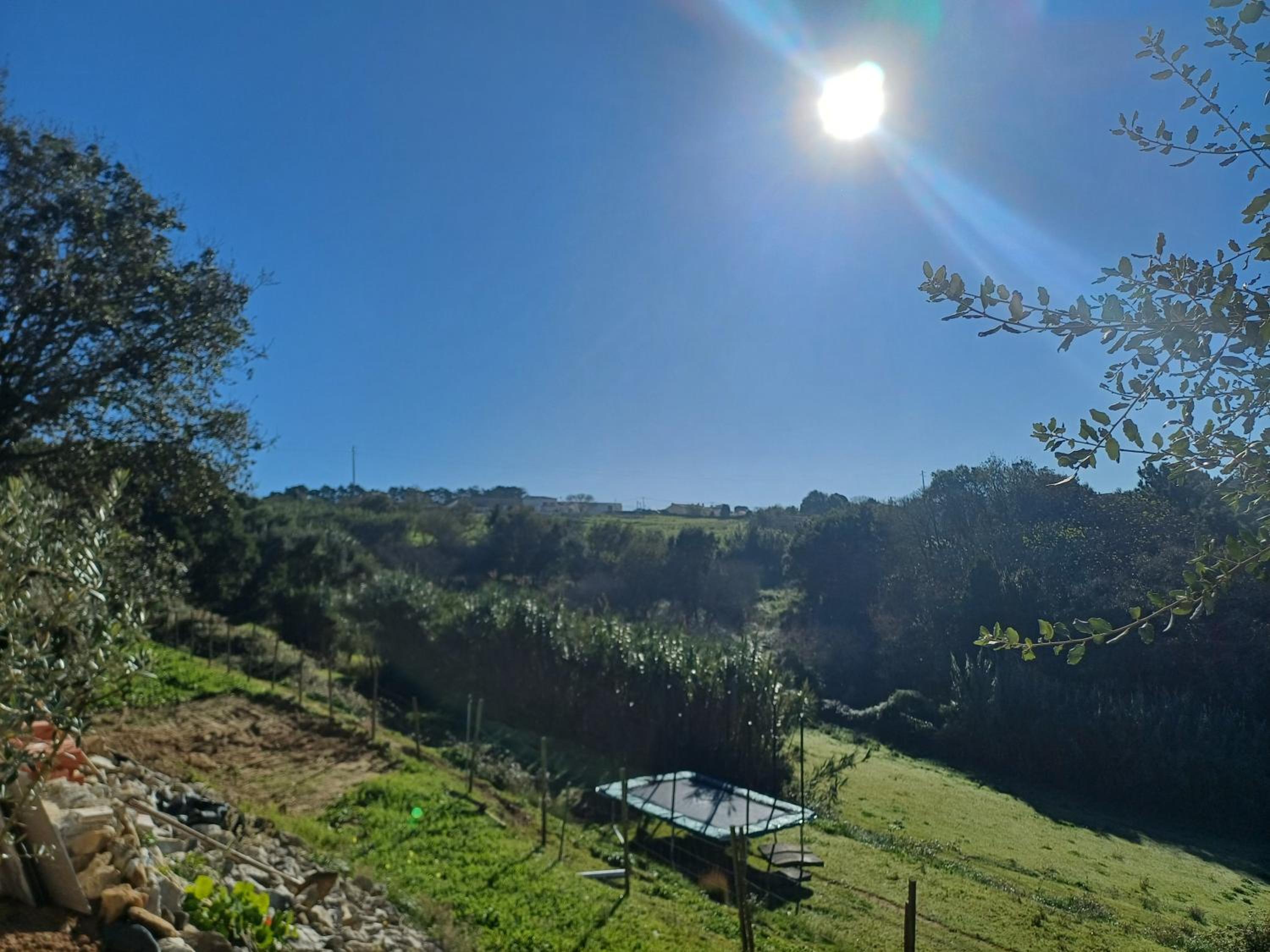 Quinta da pêra rocha