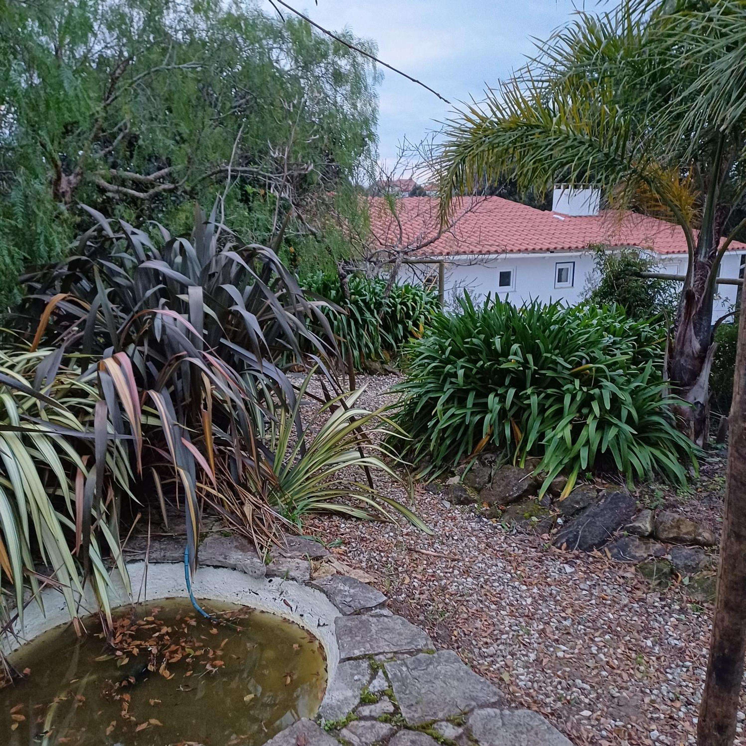Quinta da pêra rocha