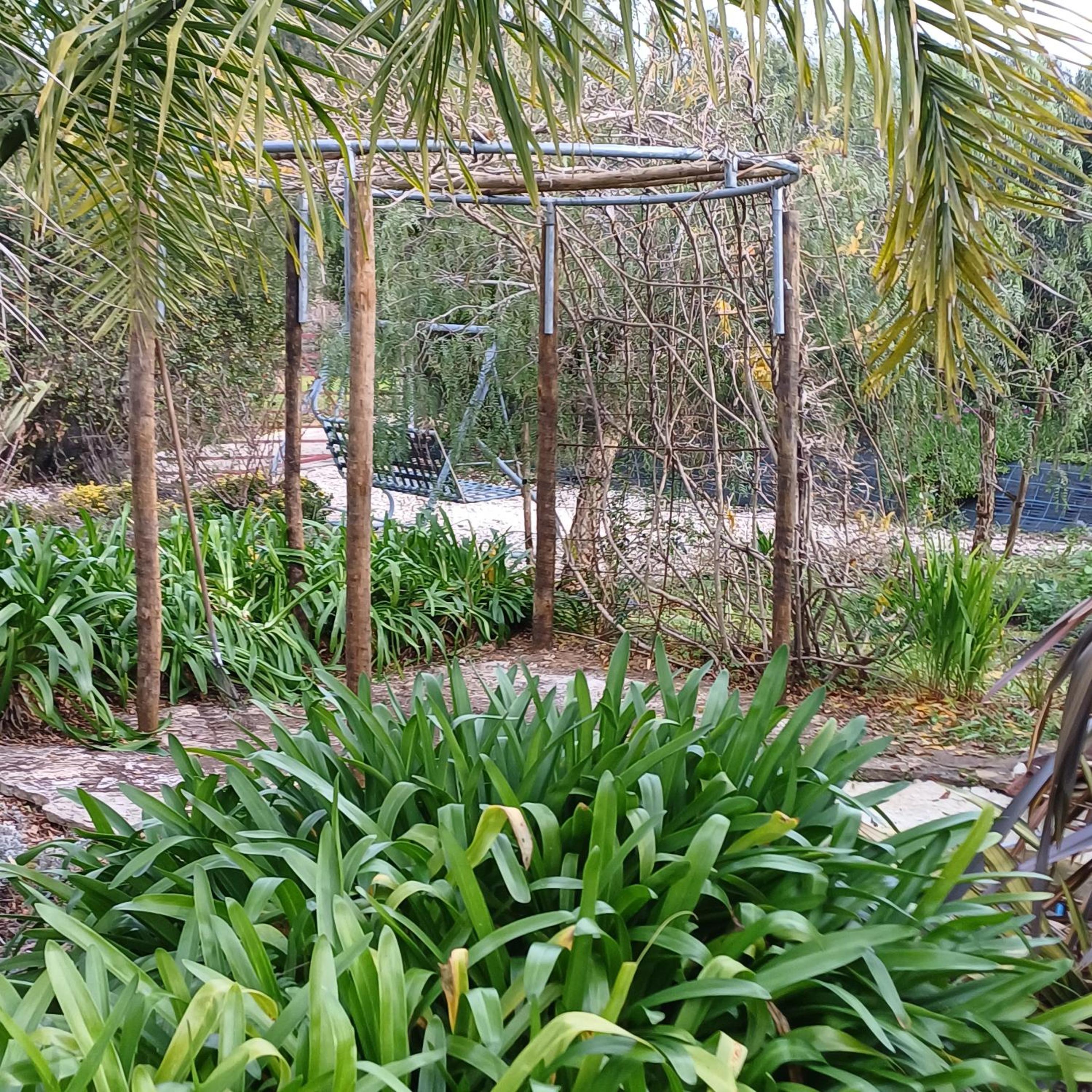 Quinta da pêra rocha