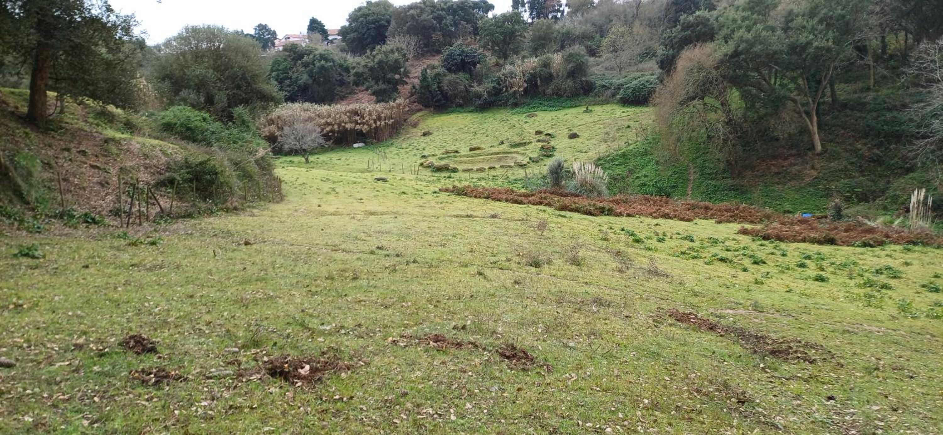 Quinta da pêra rocha