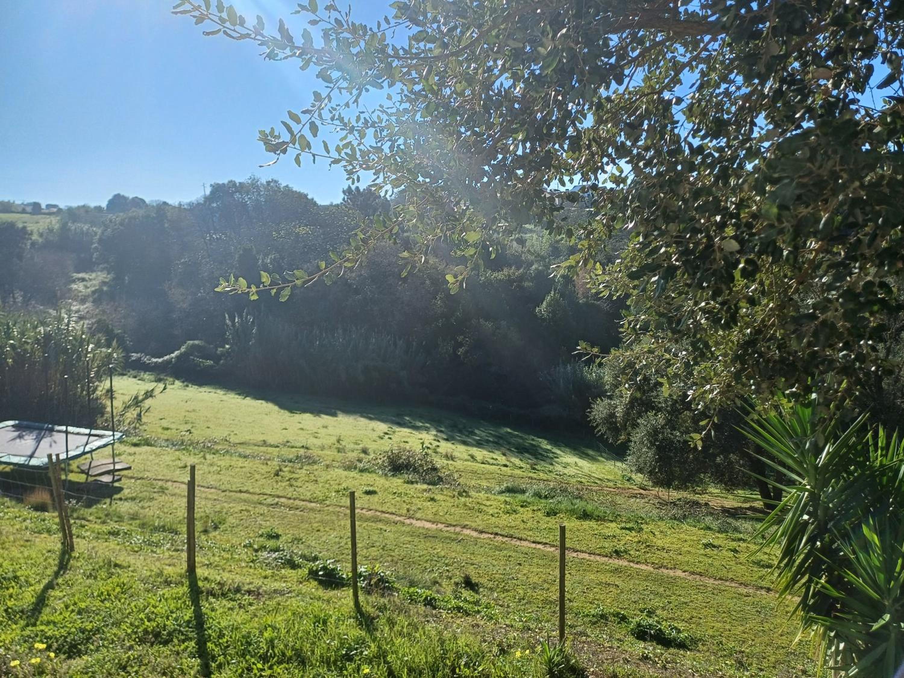Quinta da pêra rocha