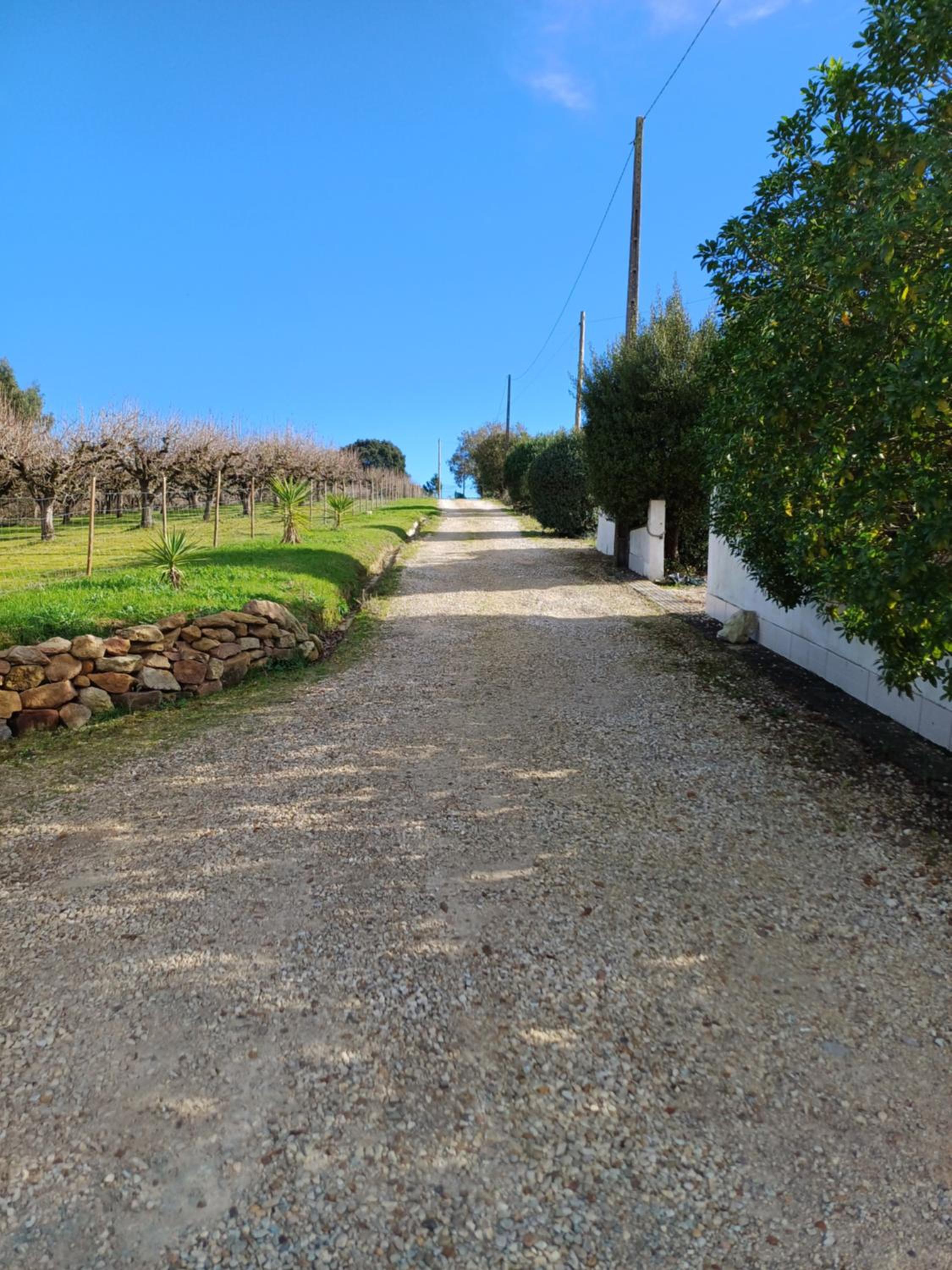 Quinta da pêra rocha
