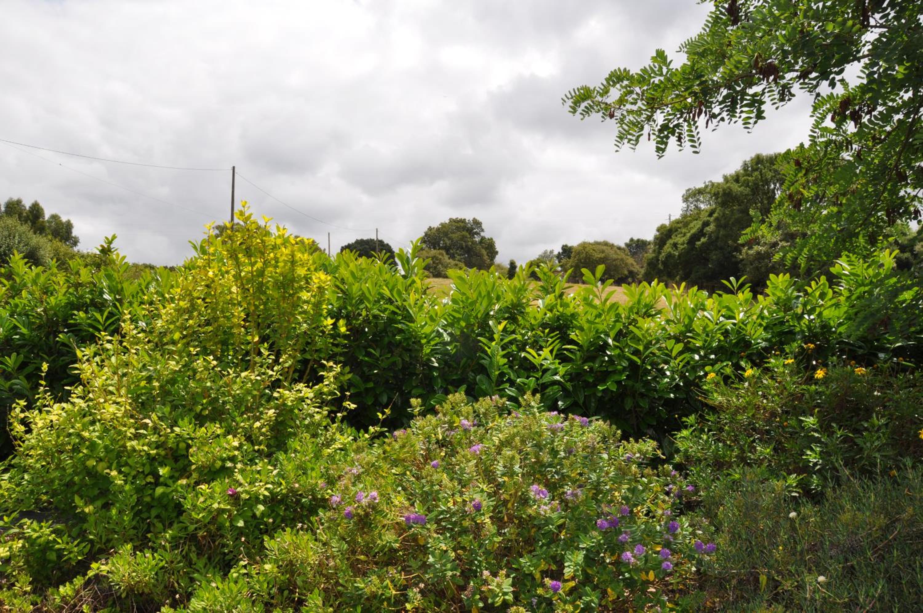 Quinta da pêra rocha
