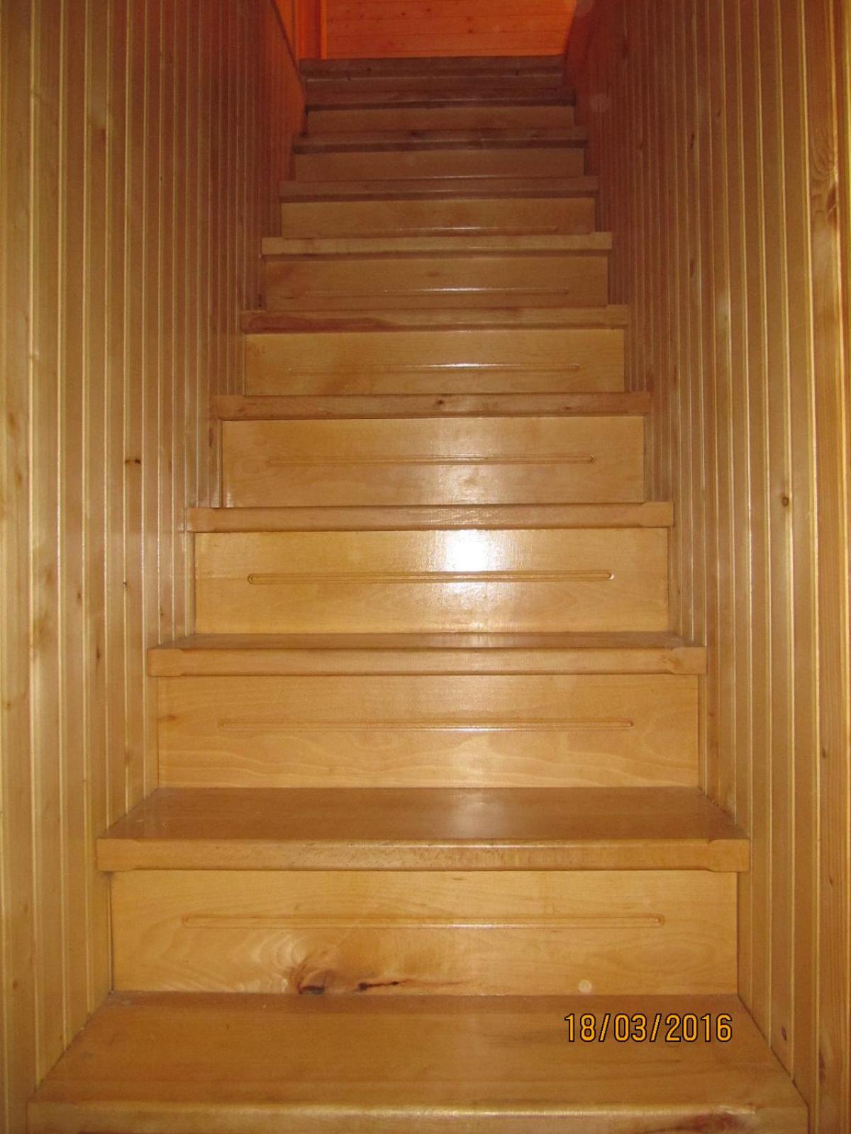 Photo 51