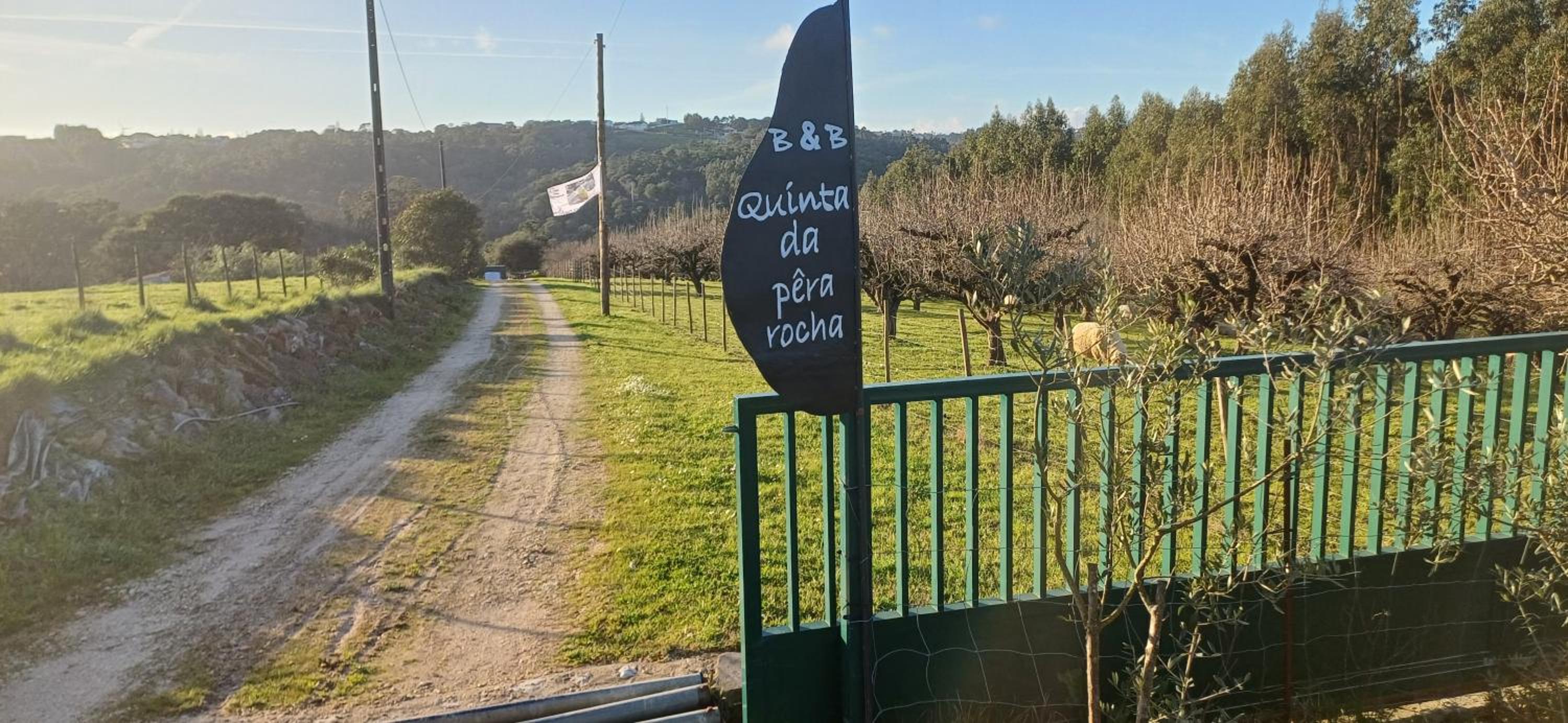 Quinta da pêra rocha